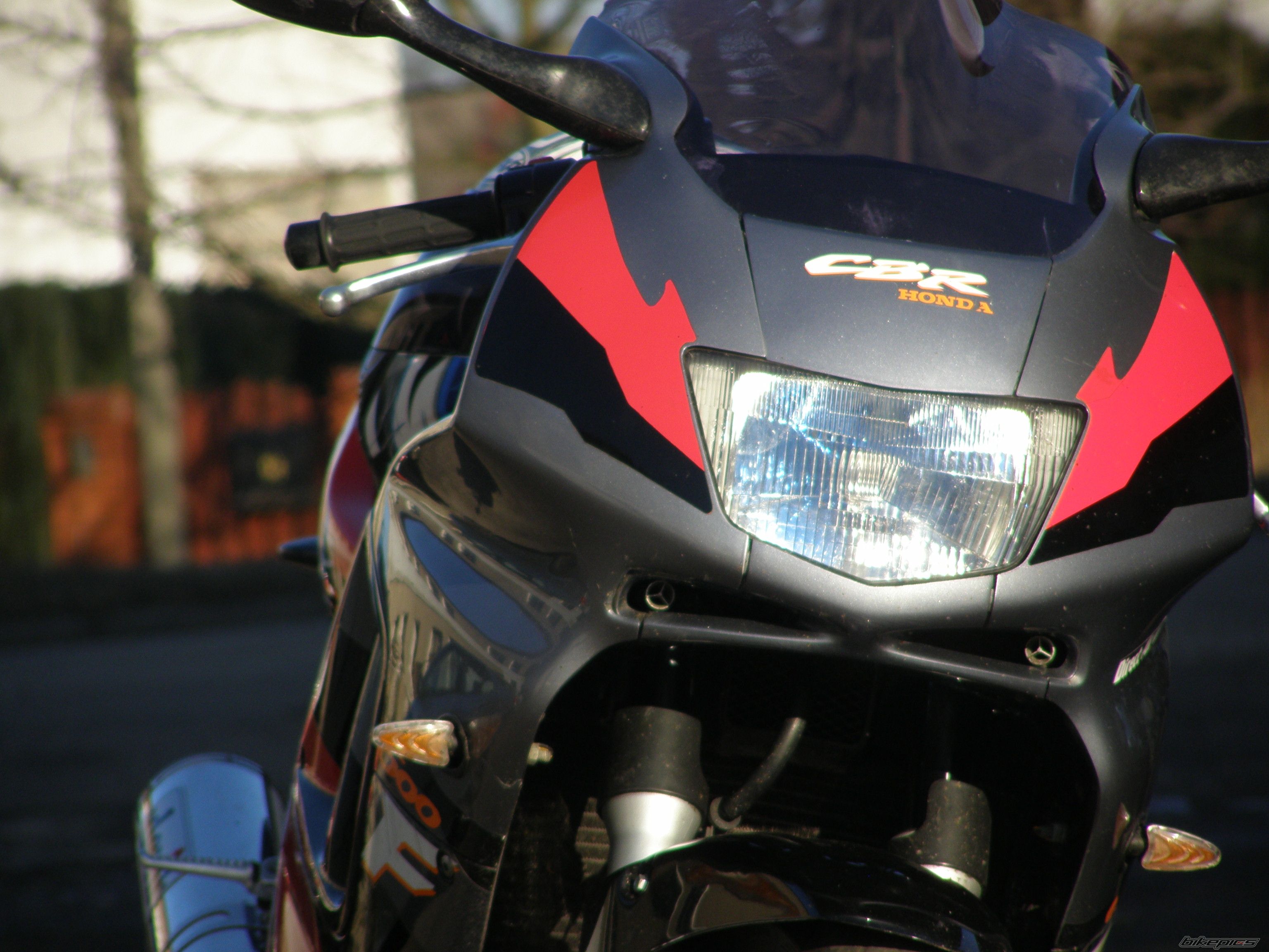 1995 HONDA CBR 600 | Picture 2378380 motorcycle photo