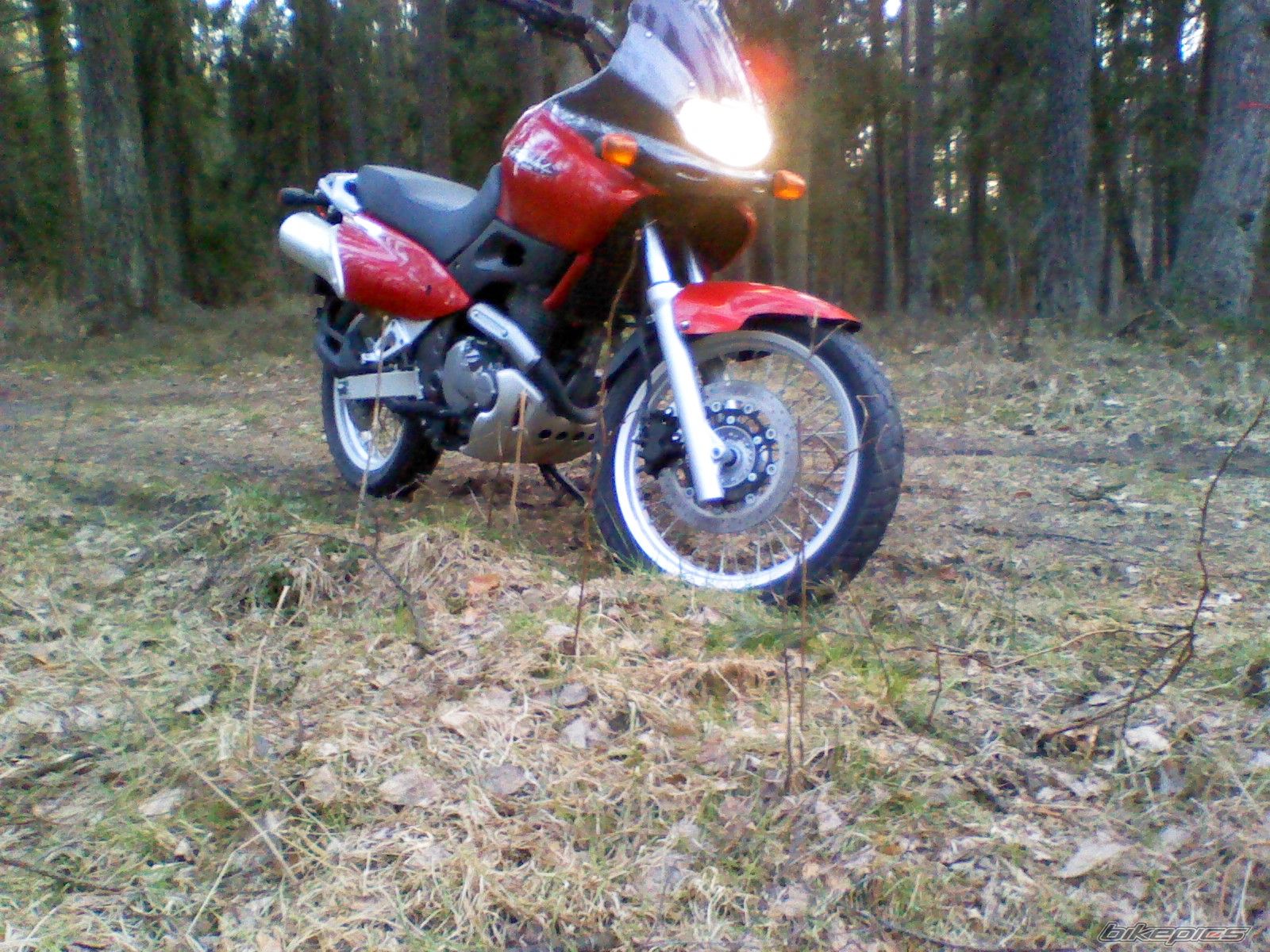 1999 SUZUKI XF 650 FREEWIND | Picture 2378888 motorcycle photo