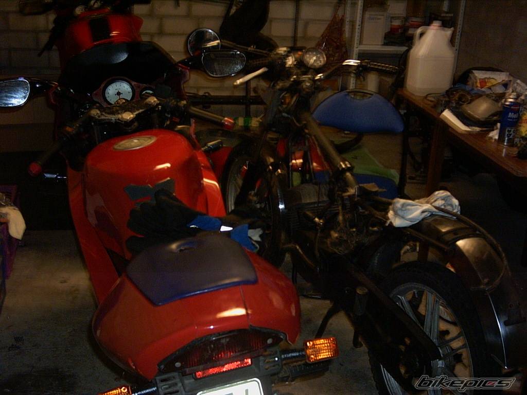 1995 APRILIA RS 50 | Picture 237948 motorcycle photo