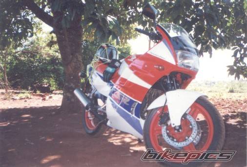 1996 HONDA CBR 450 | Picture 237979 motorcycle photo