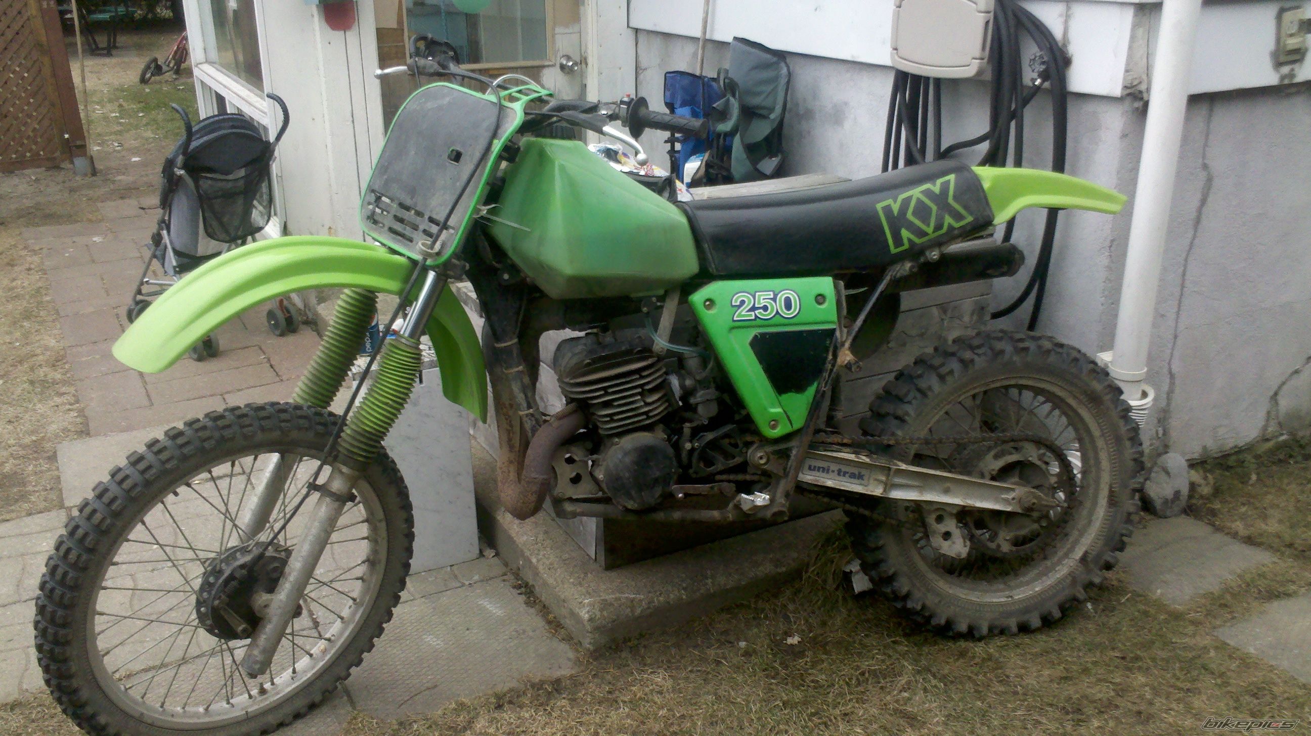 1980 KAWASAKI KX 250 | Picture 2380055 motorcycle photo