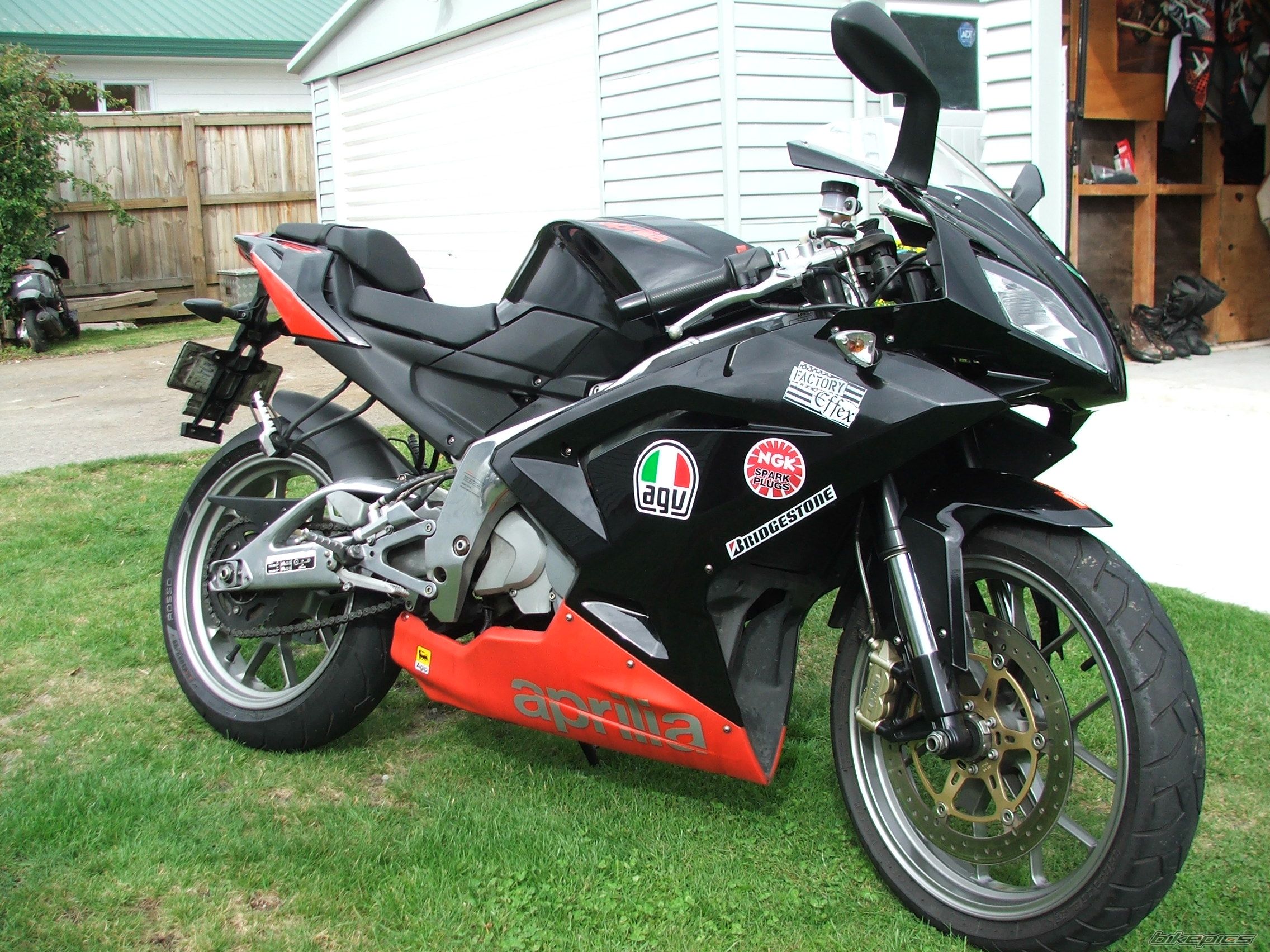 2009 APRILIA RS 125 | Picture 2380076 motorcycle photo