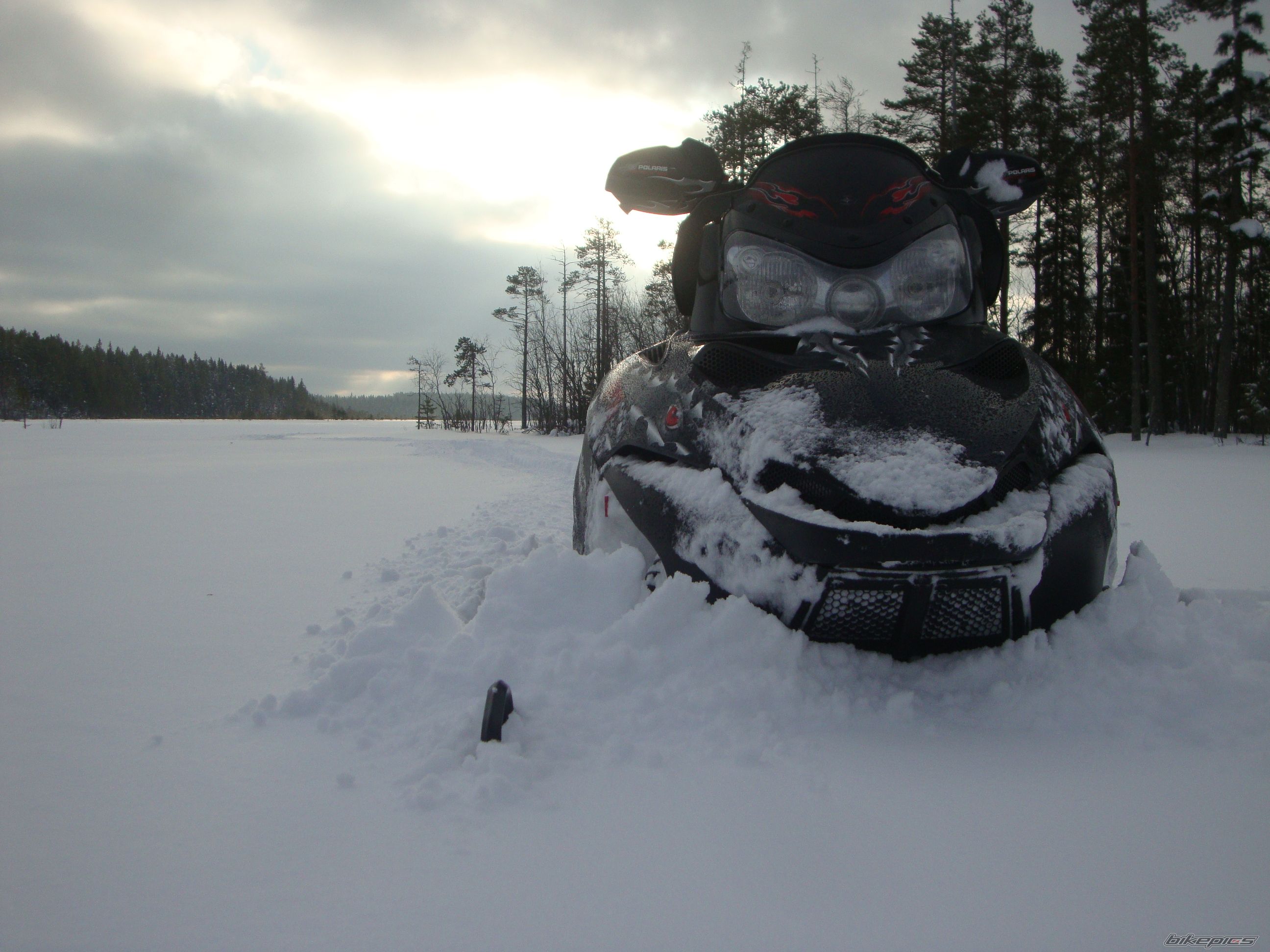 2007 POLARIS IQ700 CFI DRAGON | Picture 2381249 motorcycle photo