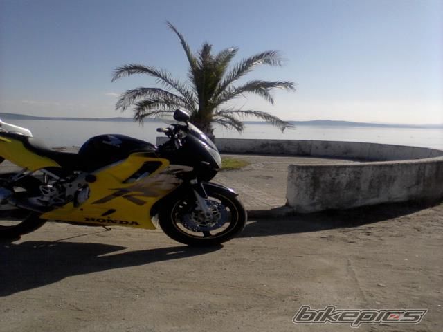 2000 HONDA CBR 600 F4 | Picture 2381256 motorcycle photo