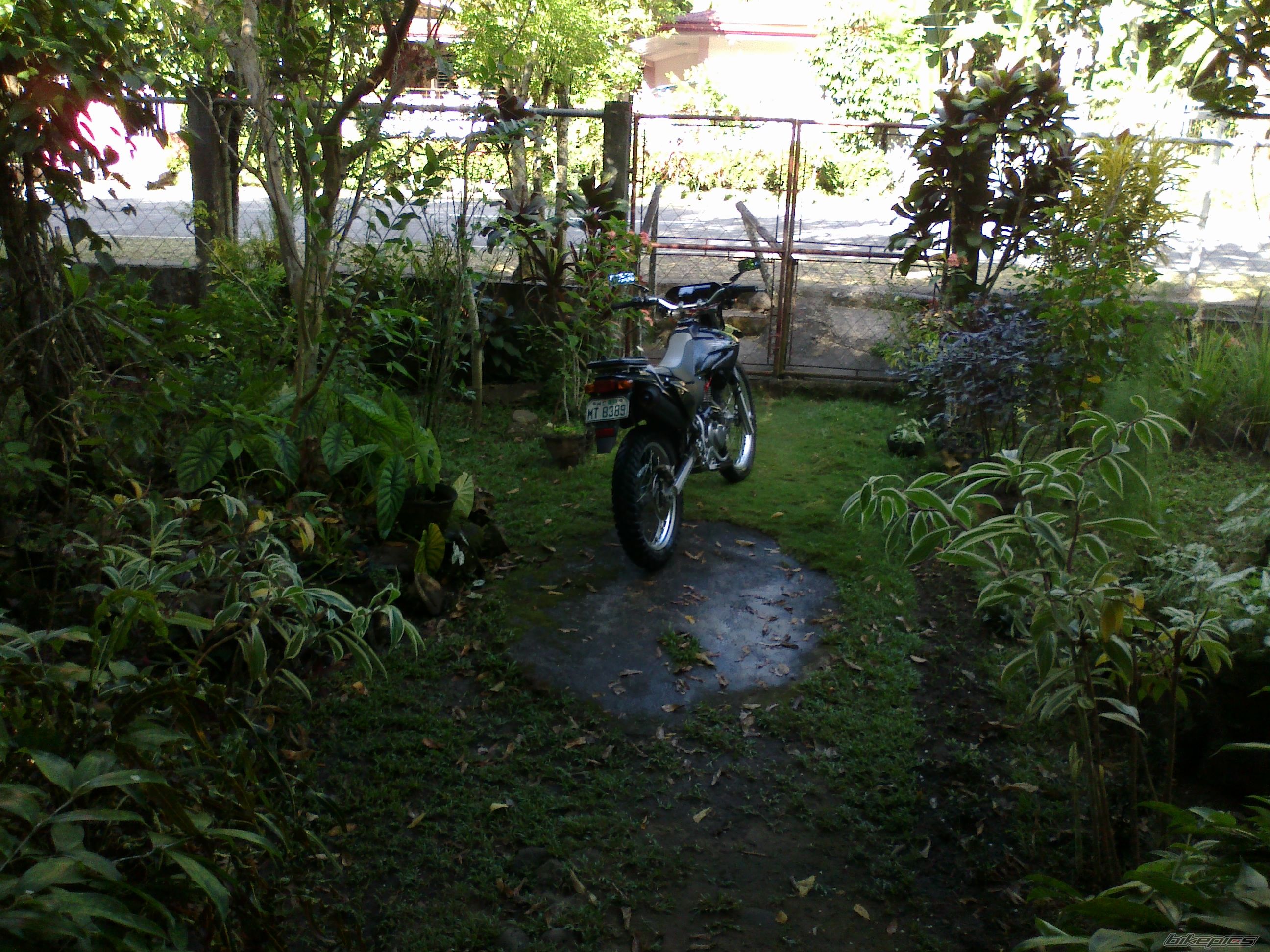 2007 HONDA XR 230 | Picture 2382117 motorcycle photo
