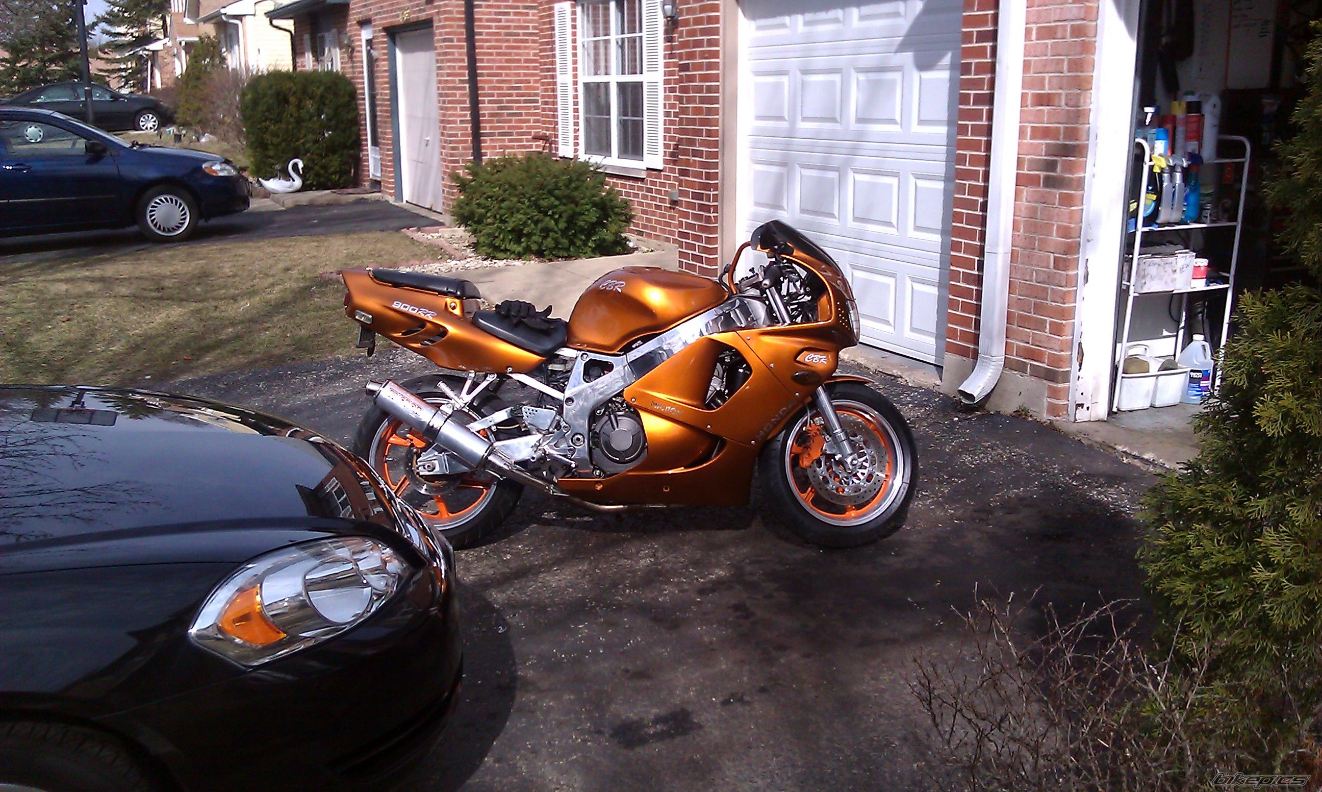 1996 HONDA CBR 900RR FIREBLADE | Picture 2383126 motorcycle photo