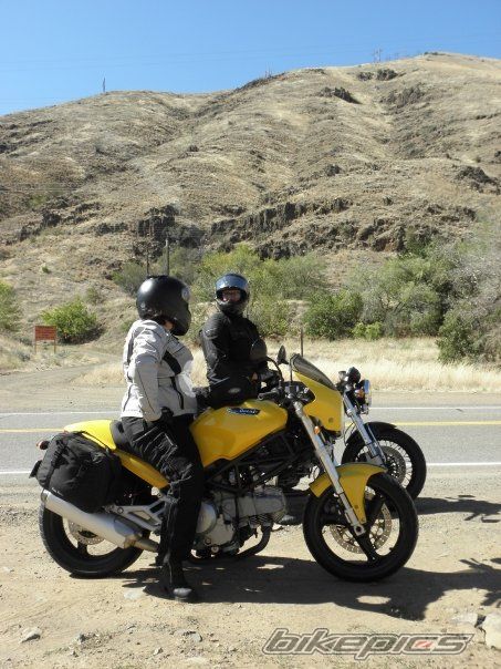 2001 DUCATI MONSTER 600 | Picture 2383200 motorcycle photo