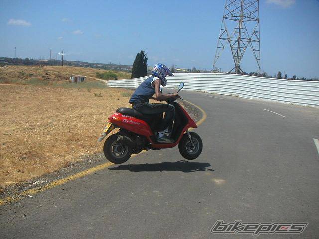 2003 PIAGGIO TYPHOON 50 | Picture 238361 motorcycle photo