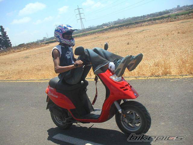 2003 PIAGGIO TYPHOON 50 | Picture 238363 motorcycle photo