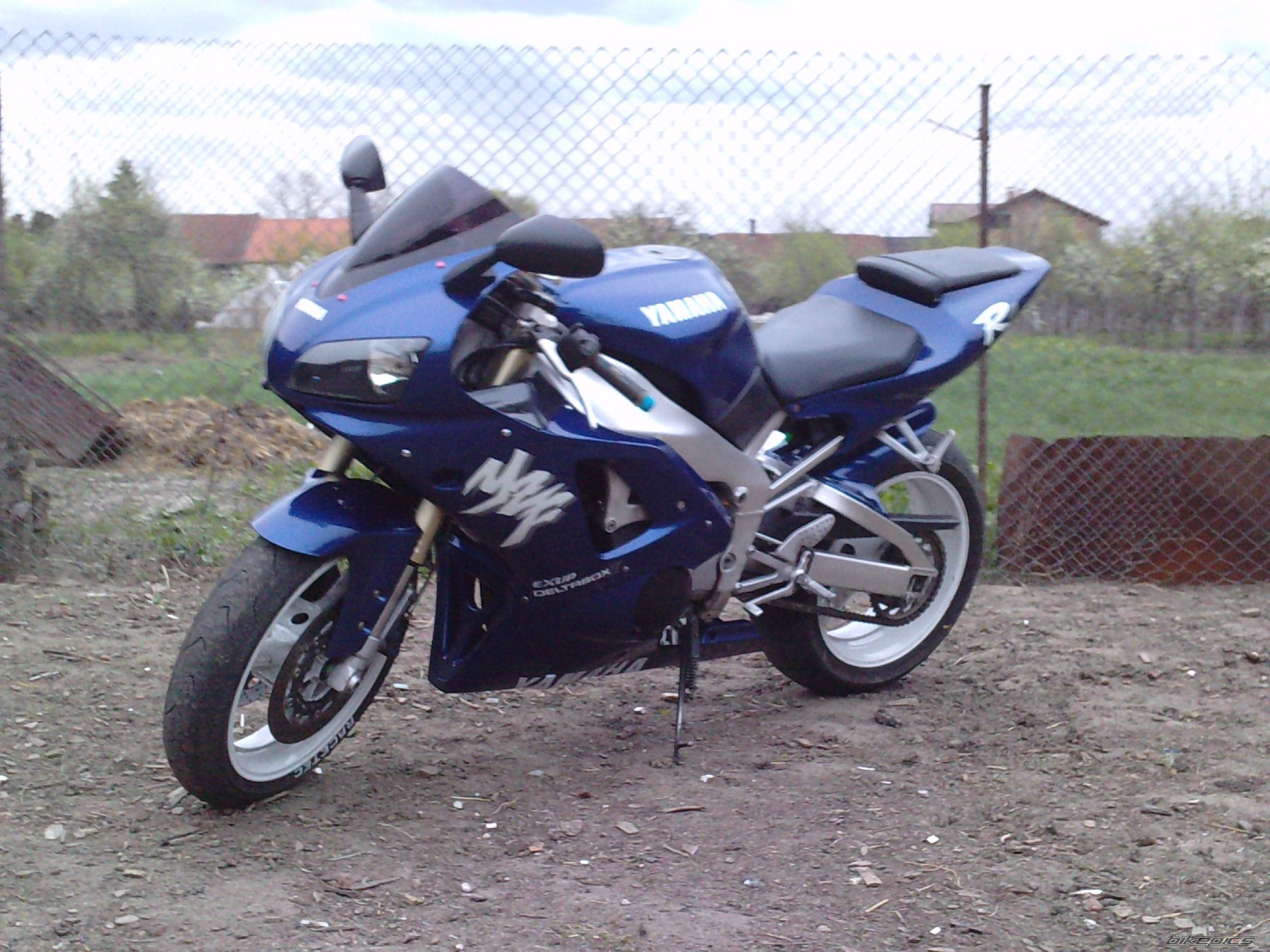1998 YAMAHA YZF R1 | Picture 2383636 motorcycle photo