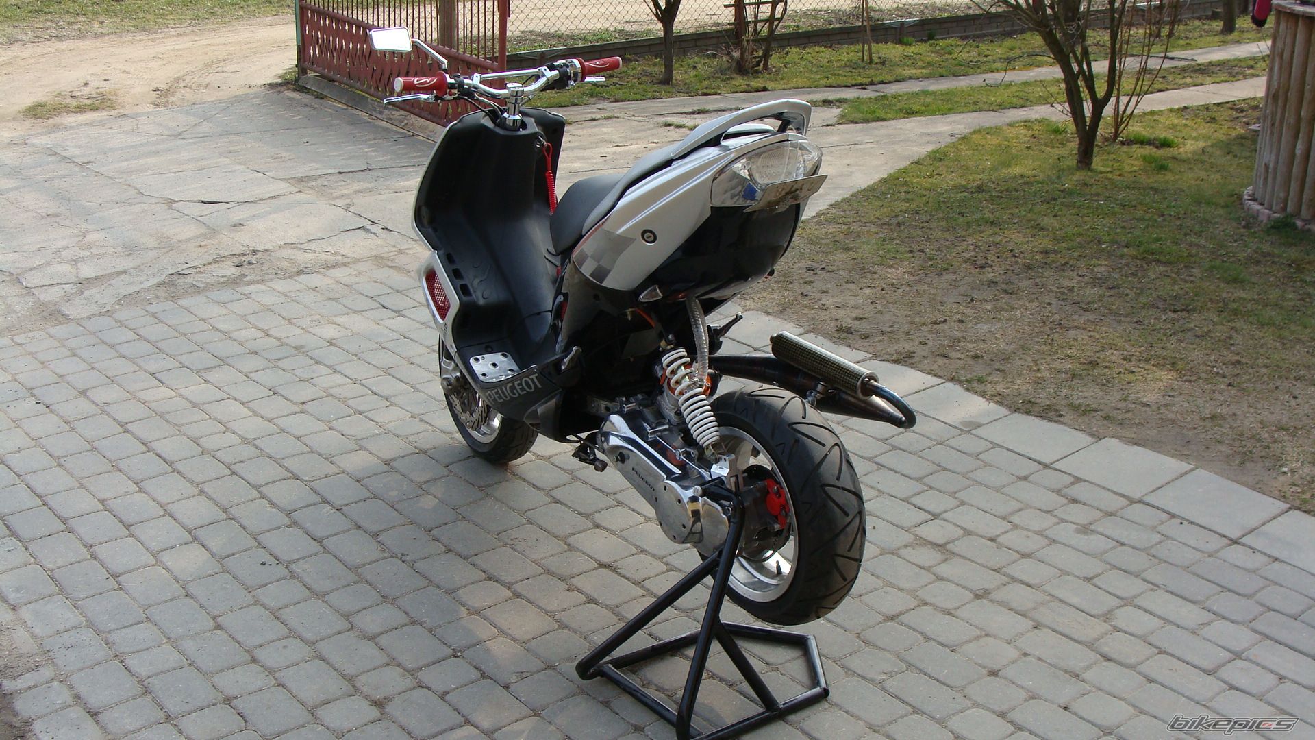 2003 PEUGEOT SPEEDFIGHT2 50 | Picture 2383645 motorcycle photo