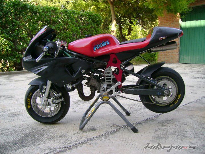 2003 GRC RSR POLINI 40CC | Picture 2383716 motorcycle photo