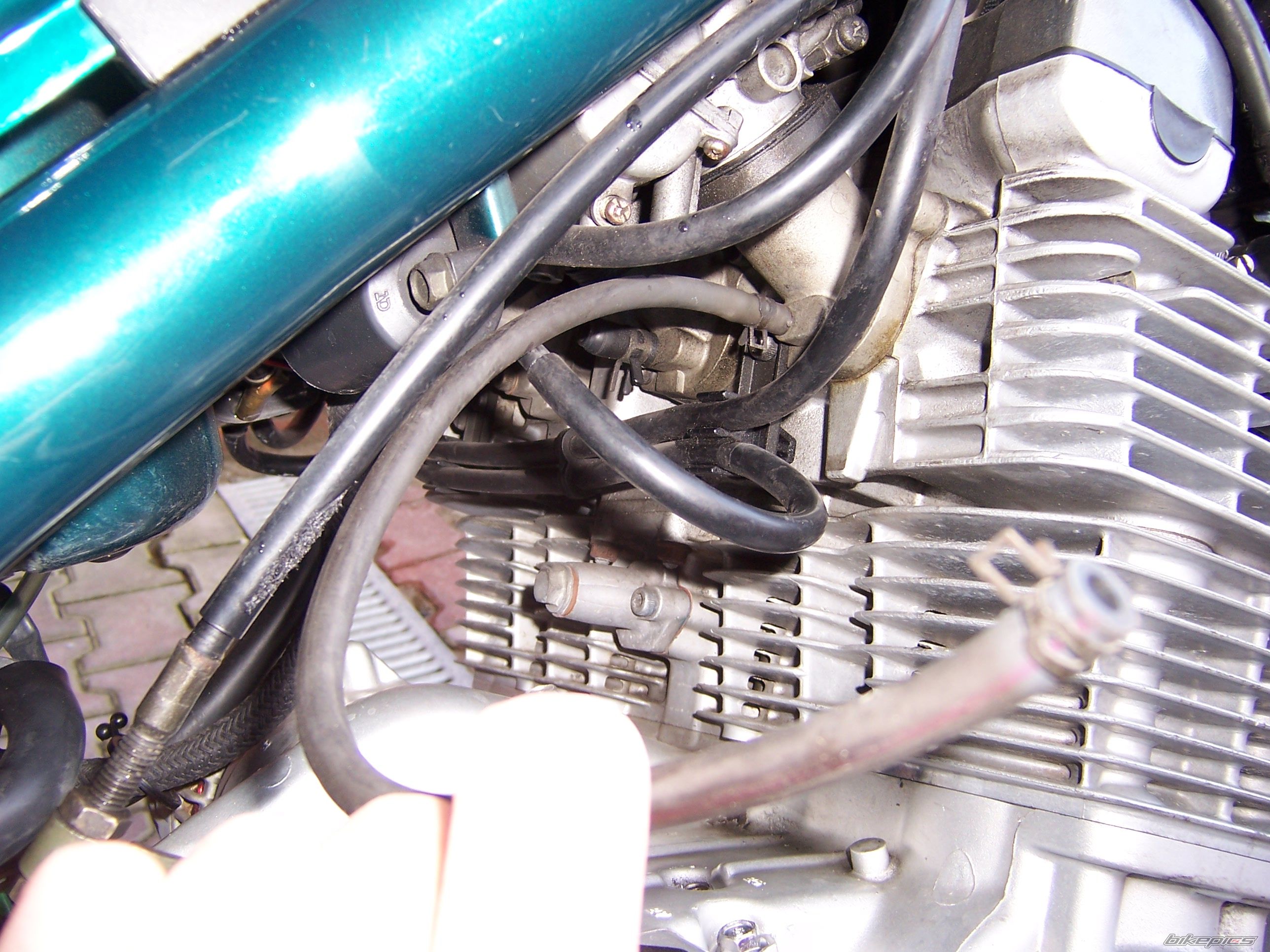 1995 SUZUKI TS 50 | Picture 2384025 motorcycle photo