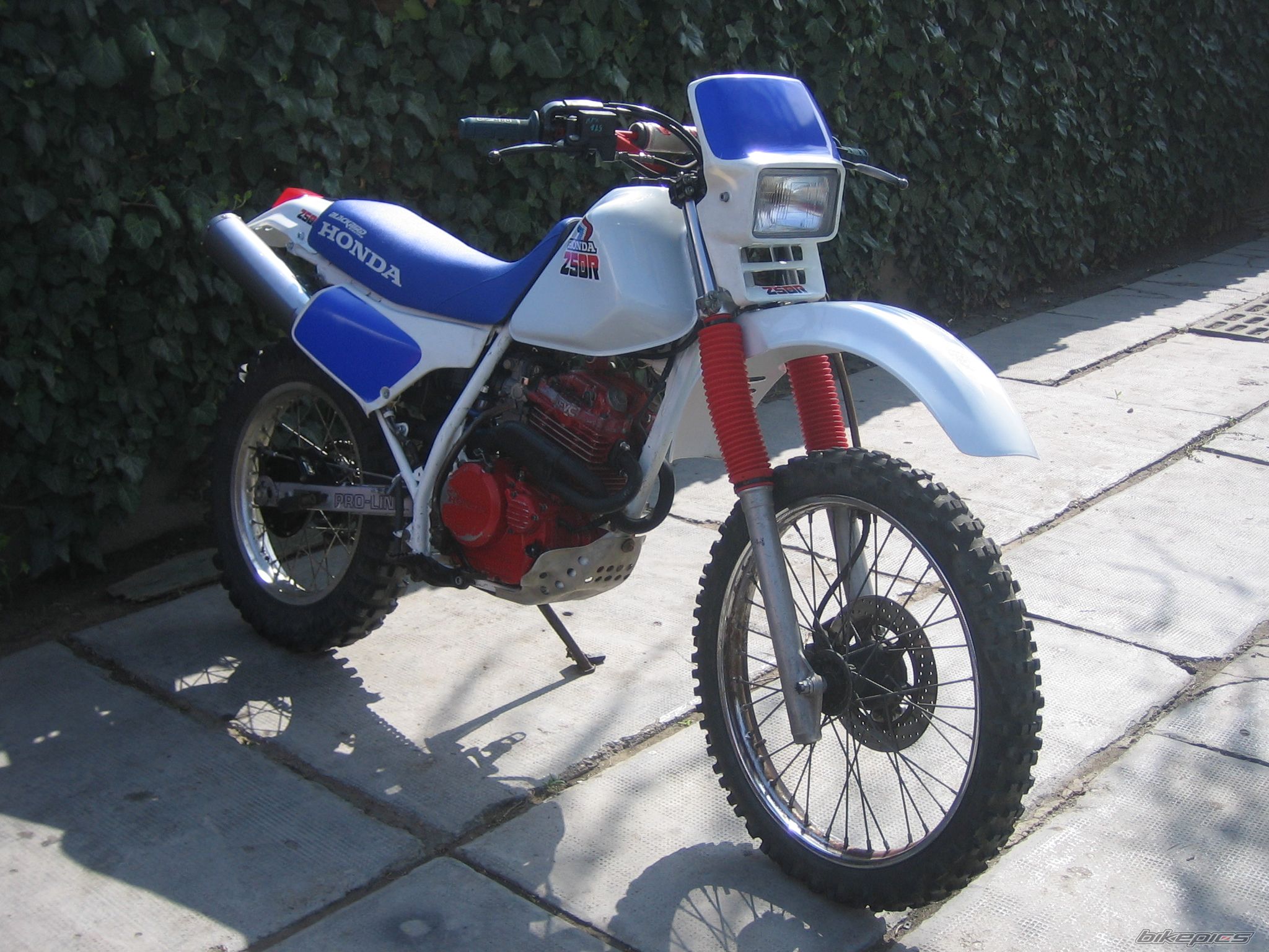 1986 HONDA XL 250 | Picture 2384041 motorcycle photo