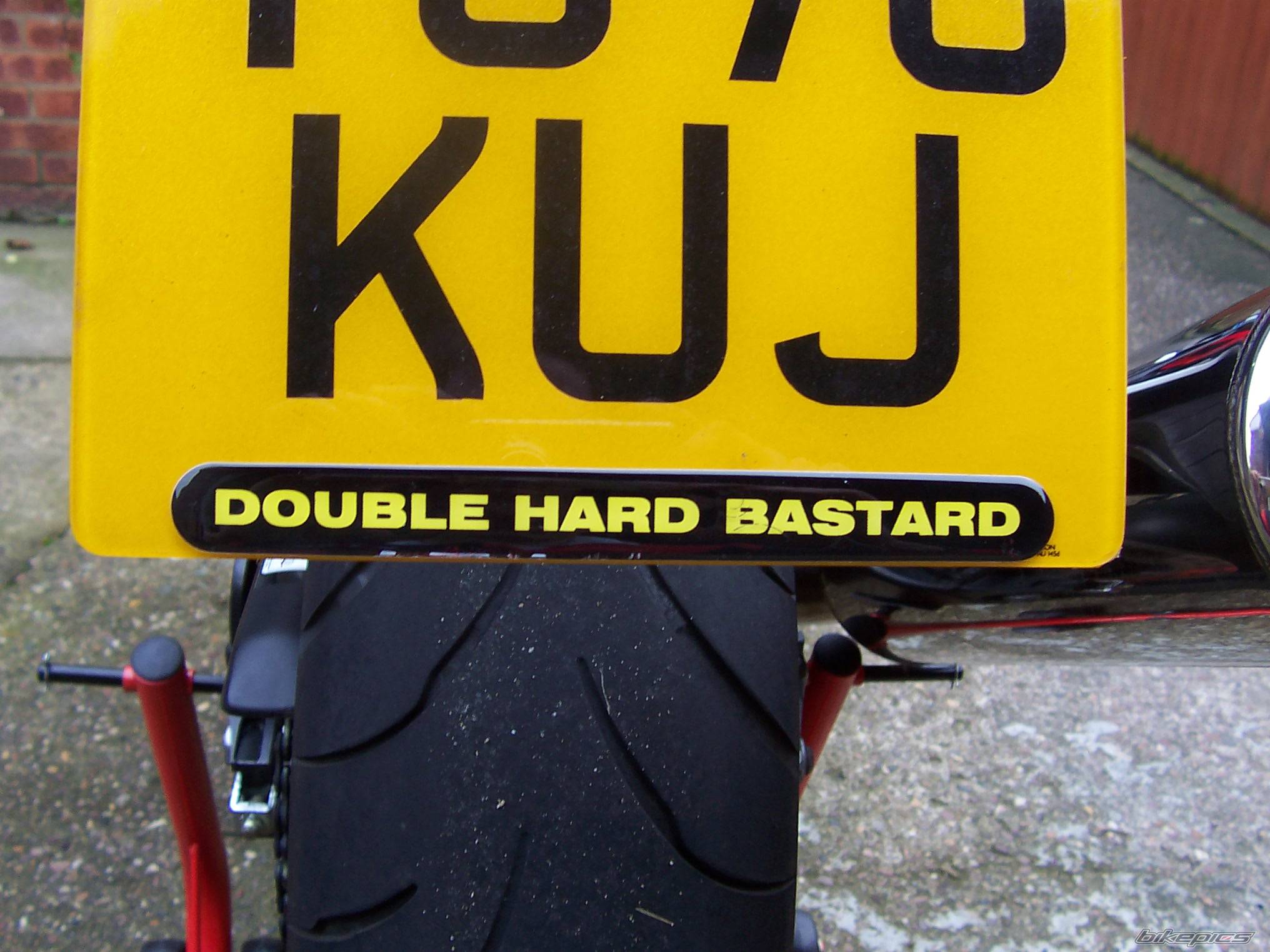 2001 HONDA CBR 600 | Picture 238483 motorcycle photo