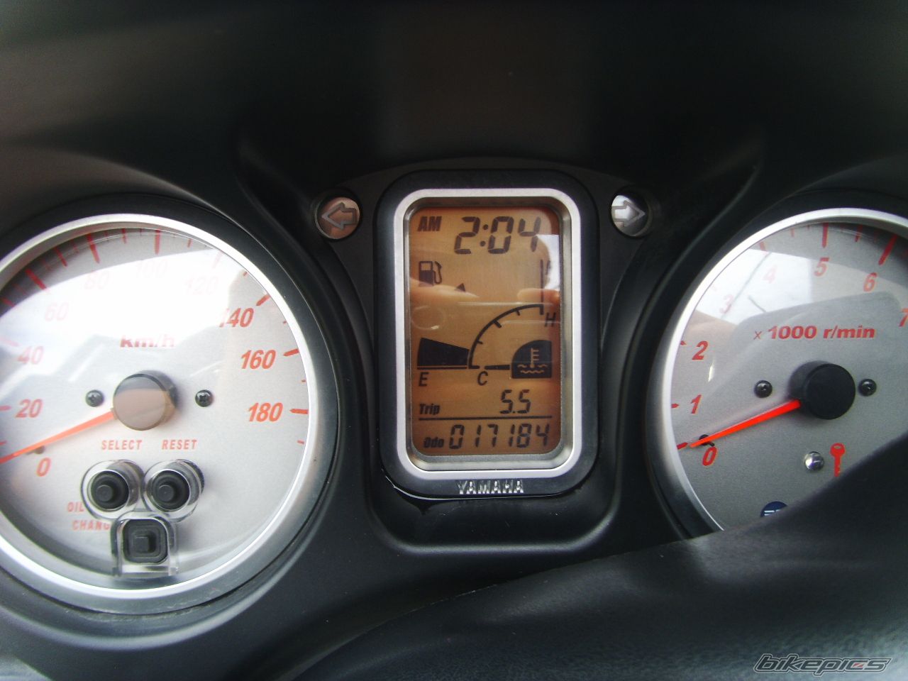 2005 YAMAHA TMAX 500 | Picture 2385000 motorcycle photo