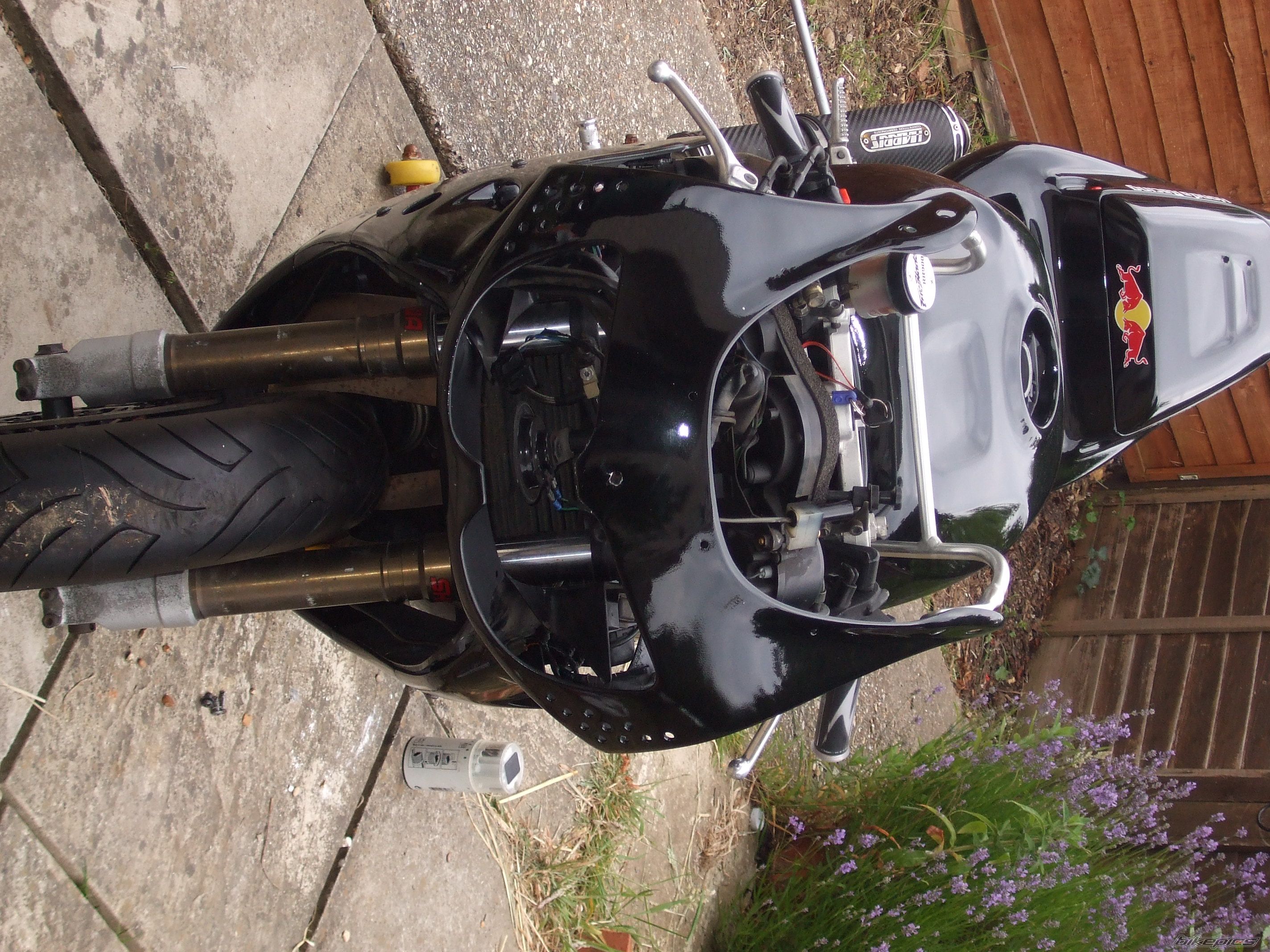 1994 HONDA CBR 900RR FIREBLADE | Picture 2385150 motorcycle photo