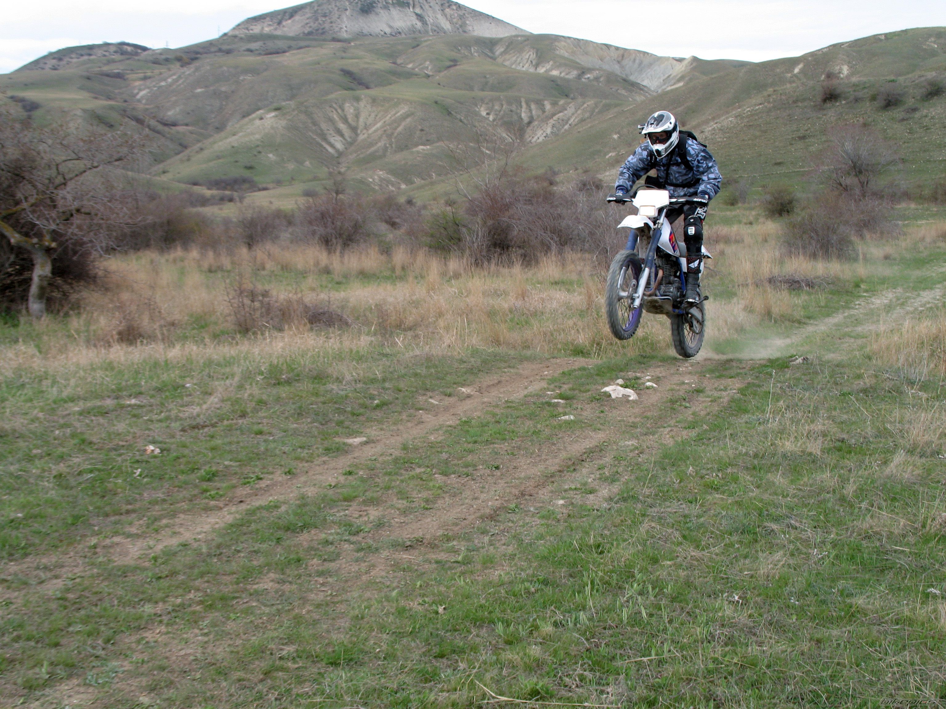 1996 YAMAHA TTR 250 | Picture 2385245 motorcycle photo