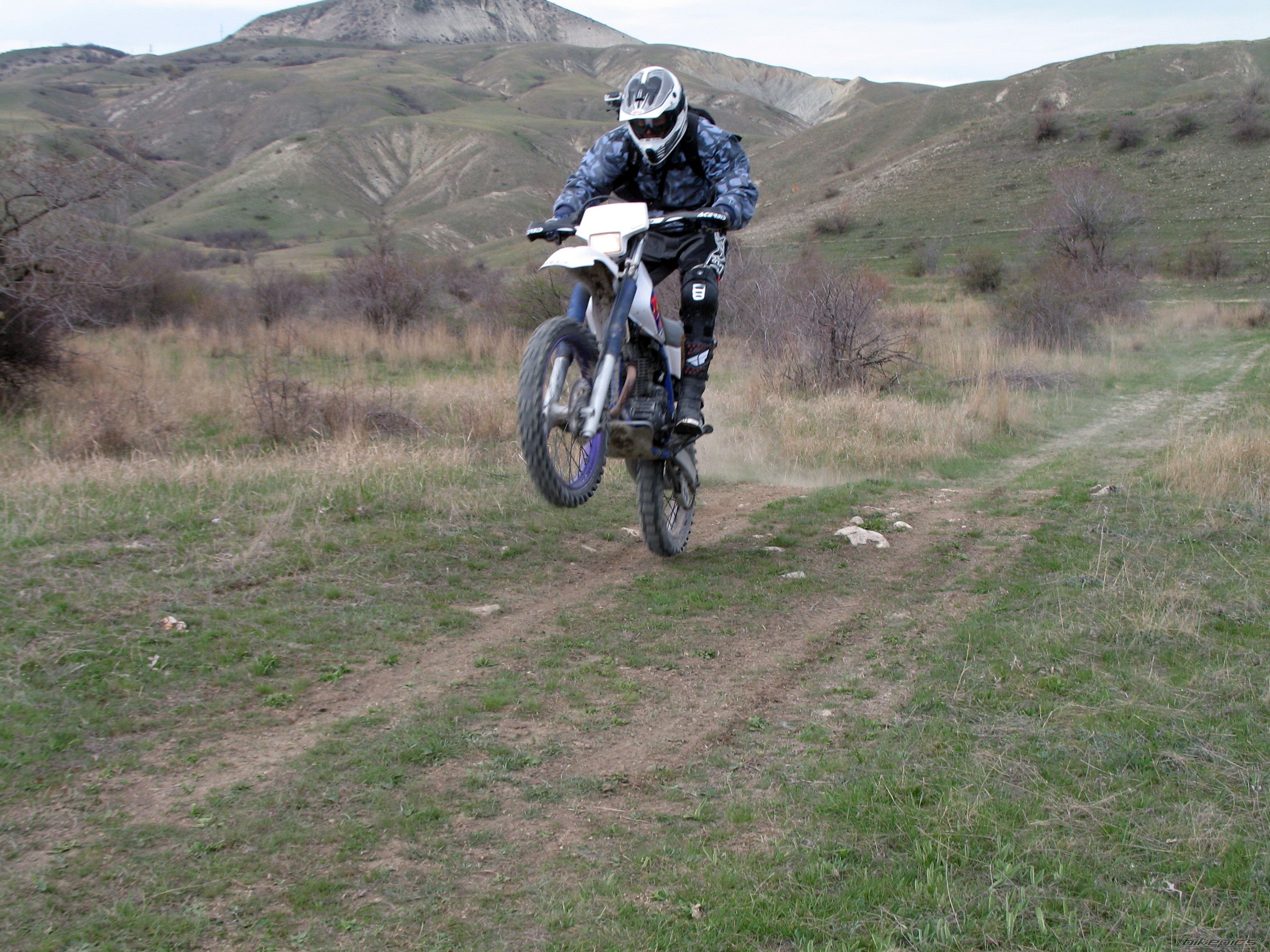 1996 YAMAHA TTR 250 | Picture 2385246 motorcycle photo