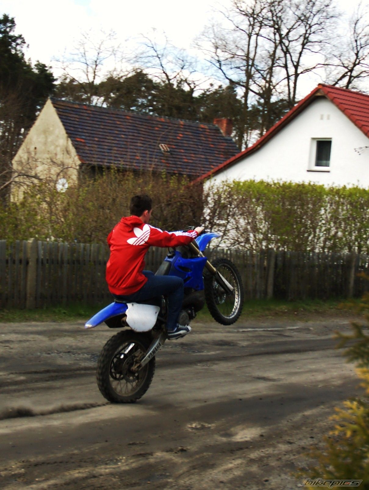 2005 YAMAHA YZ 250 | Picture 2385708 motorcycle photo