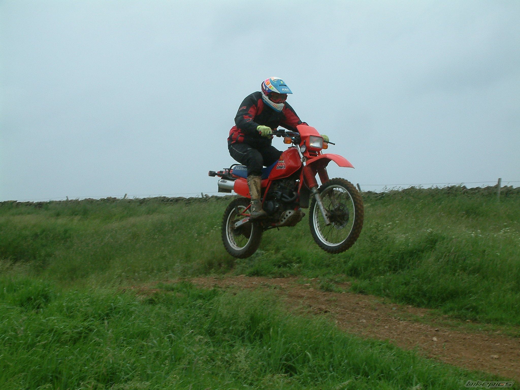 1986 HONDA XL 350 | Picture 2385871 motorcycle photo