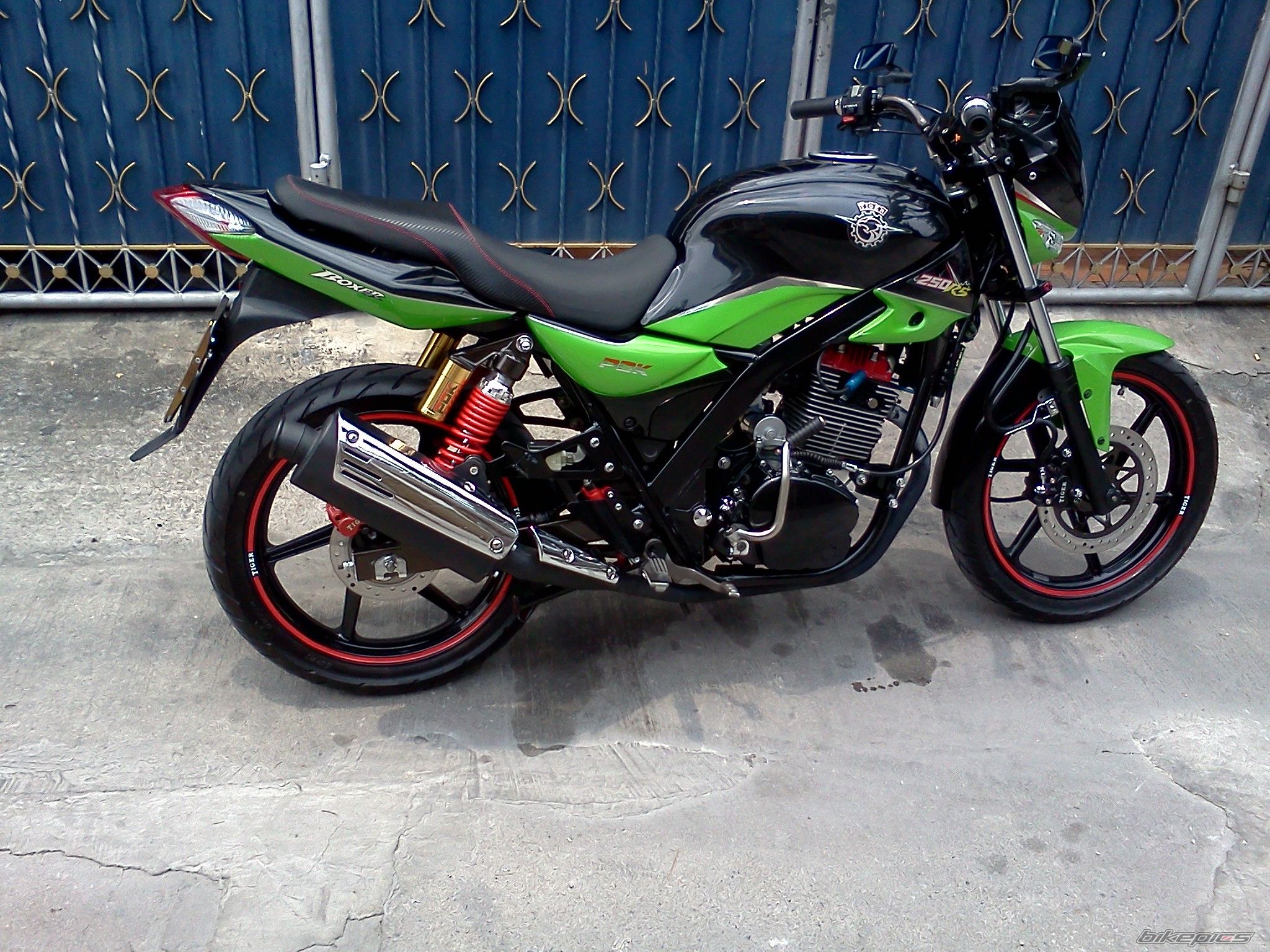 2007 TIGER BOXER 200 | Picture 2385949 motorcycle photo