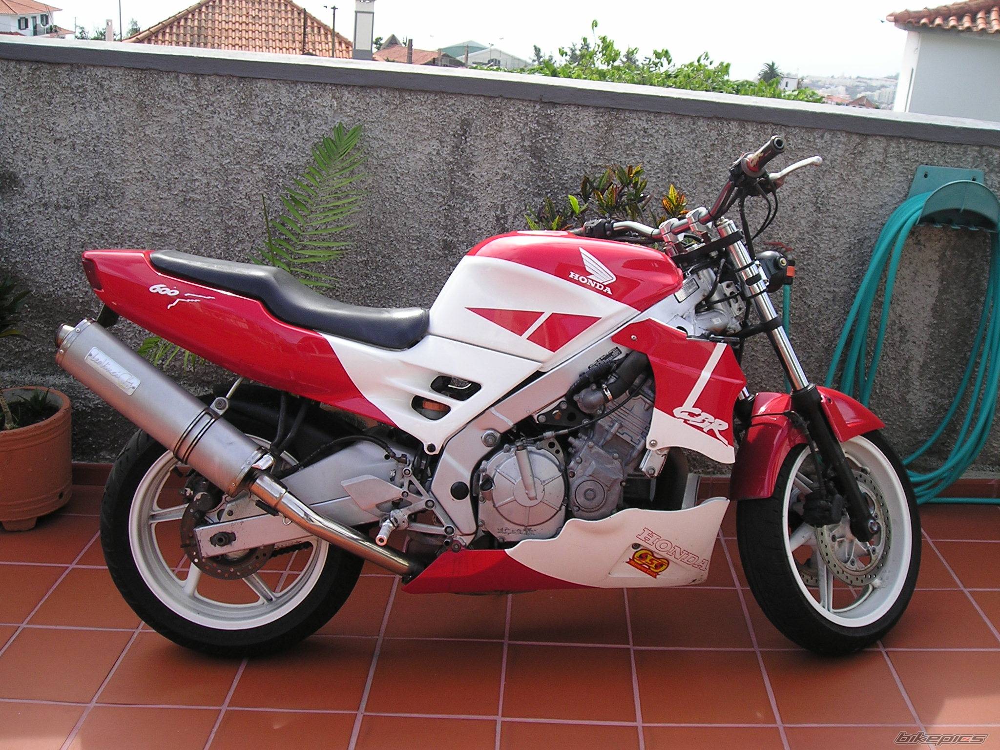 1993 HONDA CBR 600 | Picture 238690 motorcycle photo