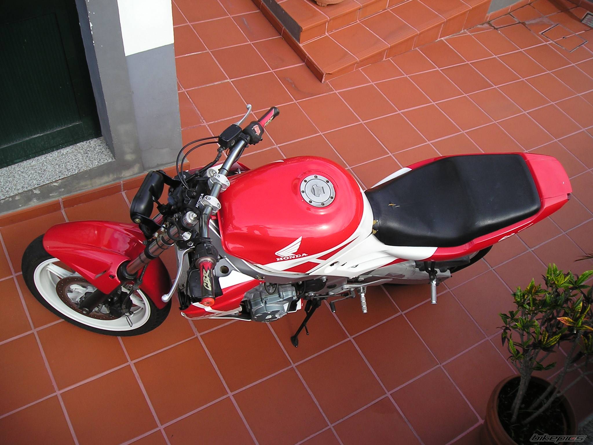 1993 HONDA CBR 600 | Picture 238694 motorcycle photo