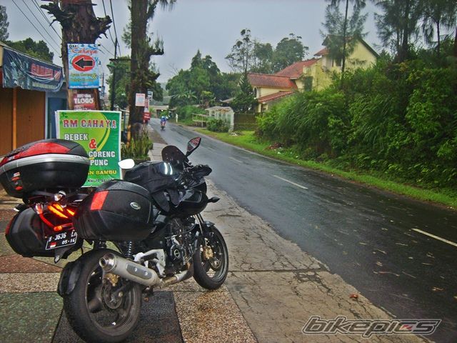 2011 BAJAJ PULSAR 220F | Picture 2387145 motorcycle photo