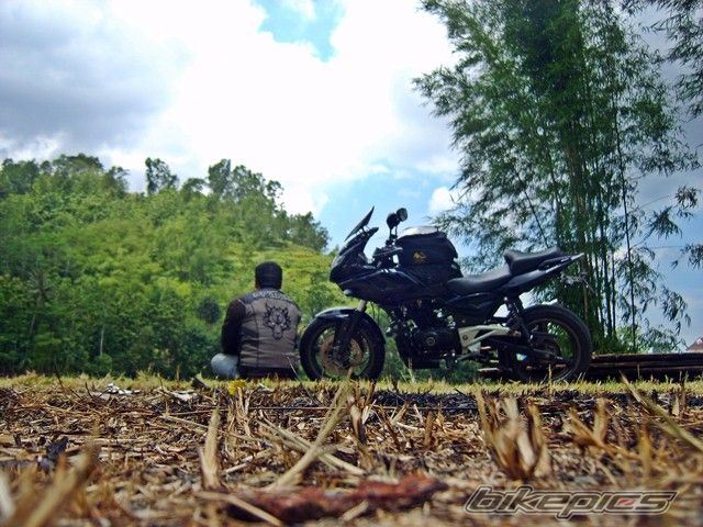 2011 BAJAJ PULSAR 220F | Picture 2387157 motorcycle photo