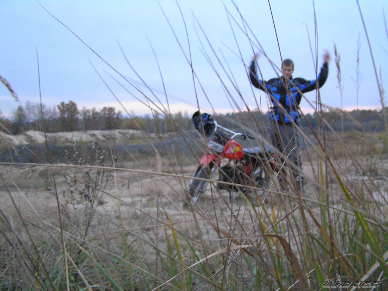 2004 YAMAHA YZ 50 | Picture 238807 motorcycle photo