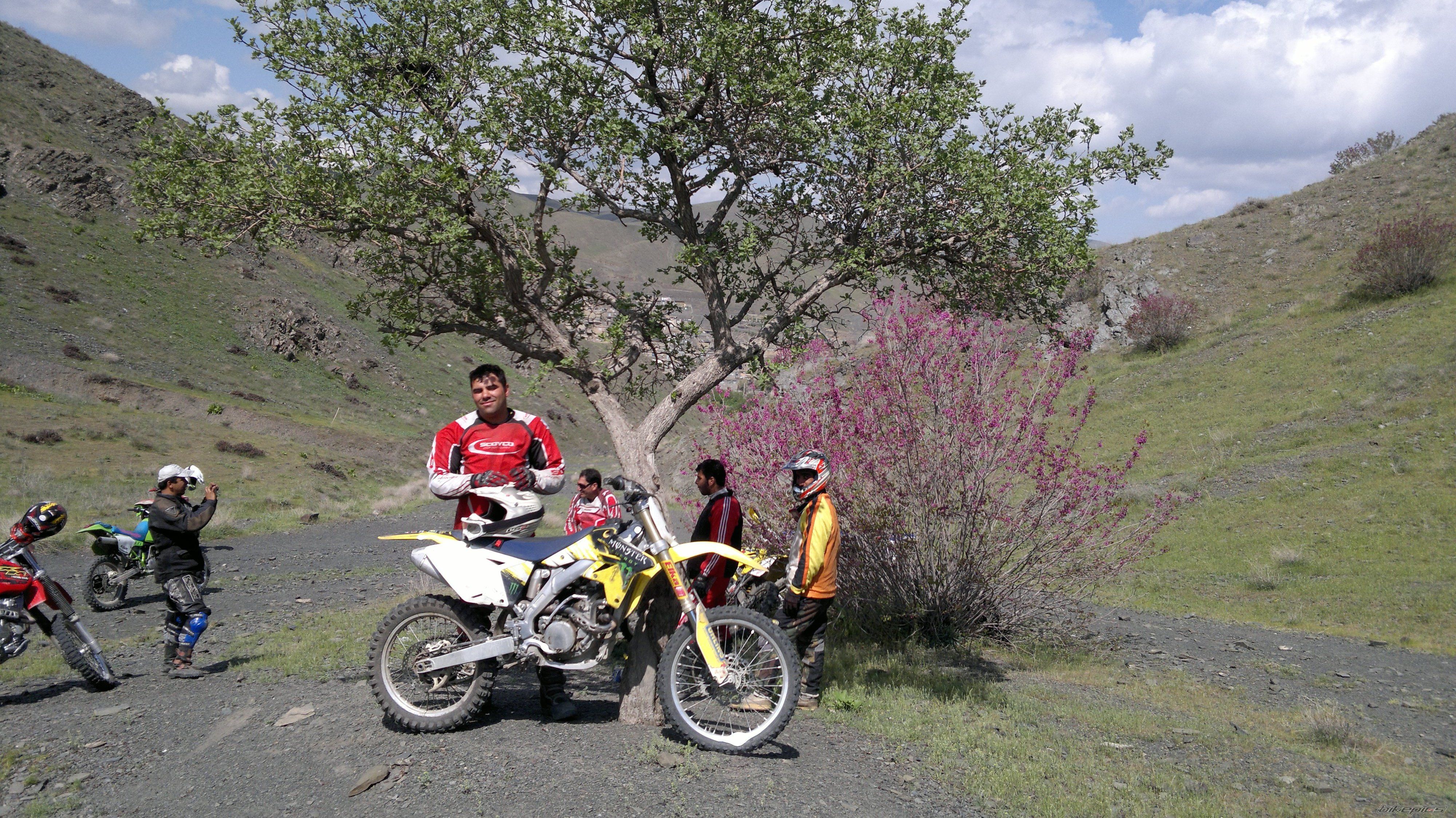 2005 SUZUKI RM 250 | Picture 2388179 motorcycle photo