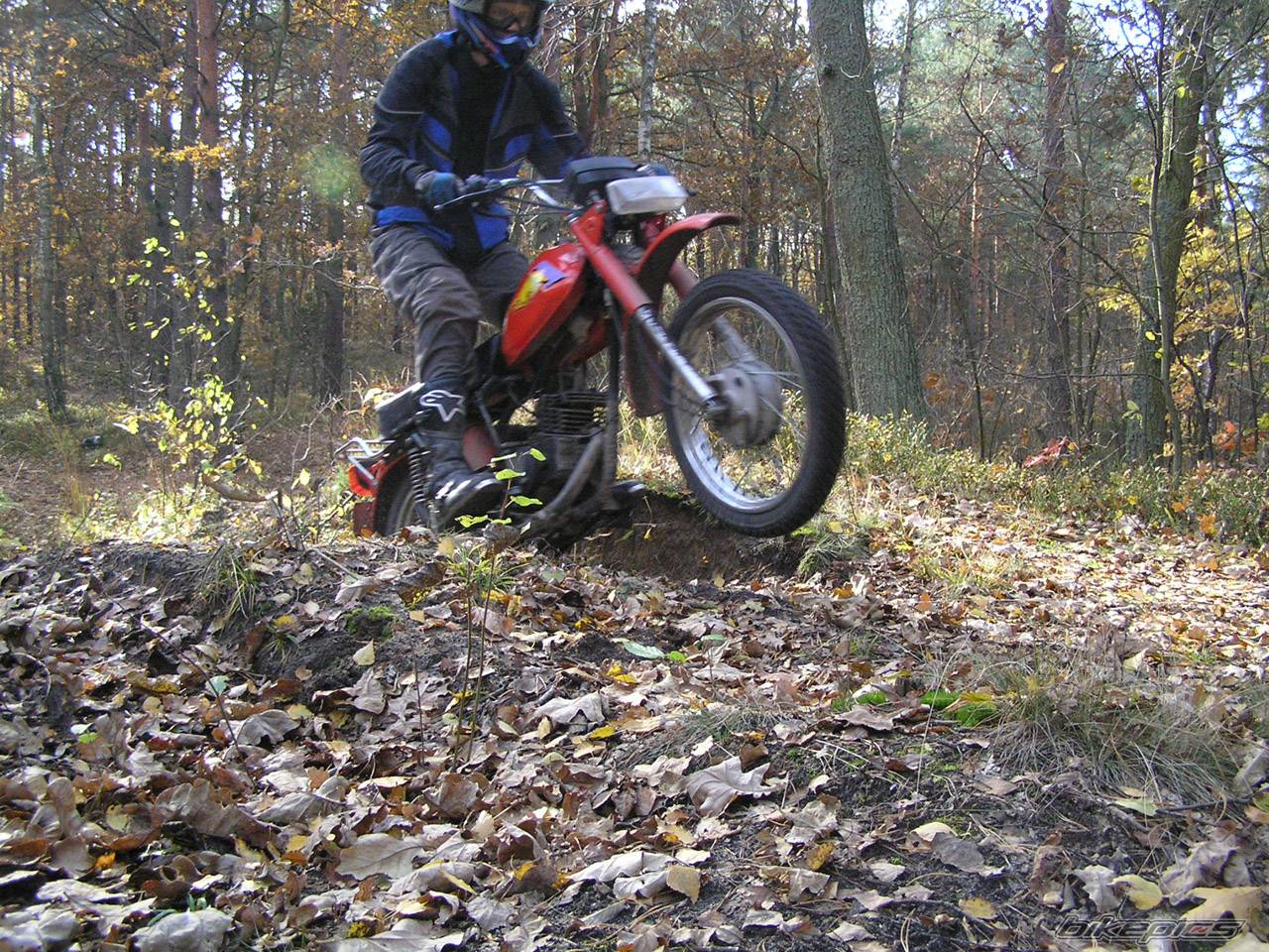 2004 YAMAHA YZ 50 | Picture 238828 motorcycle photo