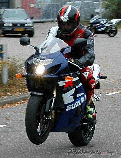 2004 SUZUKI GSX R 600 | Picture 238866 motorcycle photo