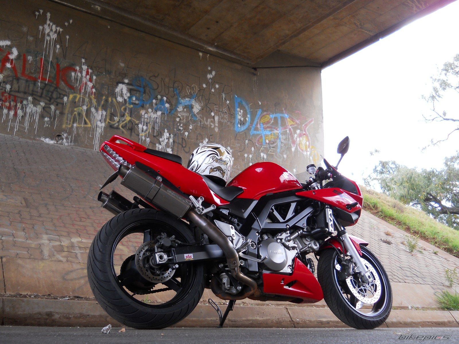 2005 SUZUKI SV 1000 S | Picture 2388870 motorcycle photo