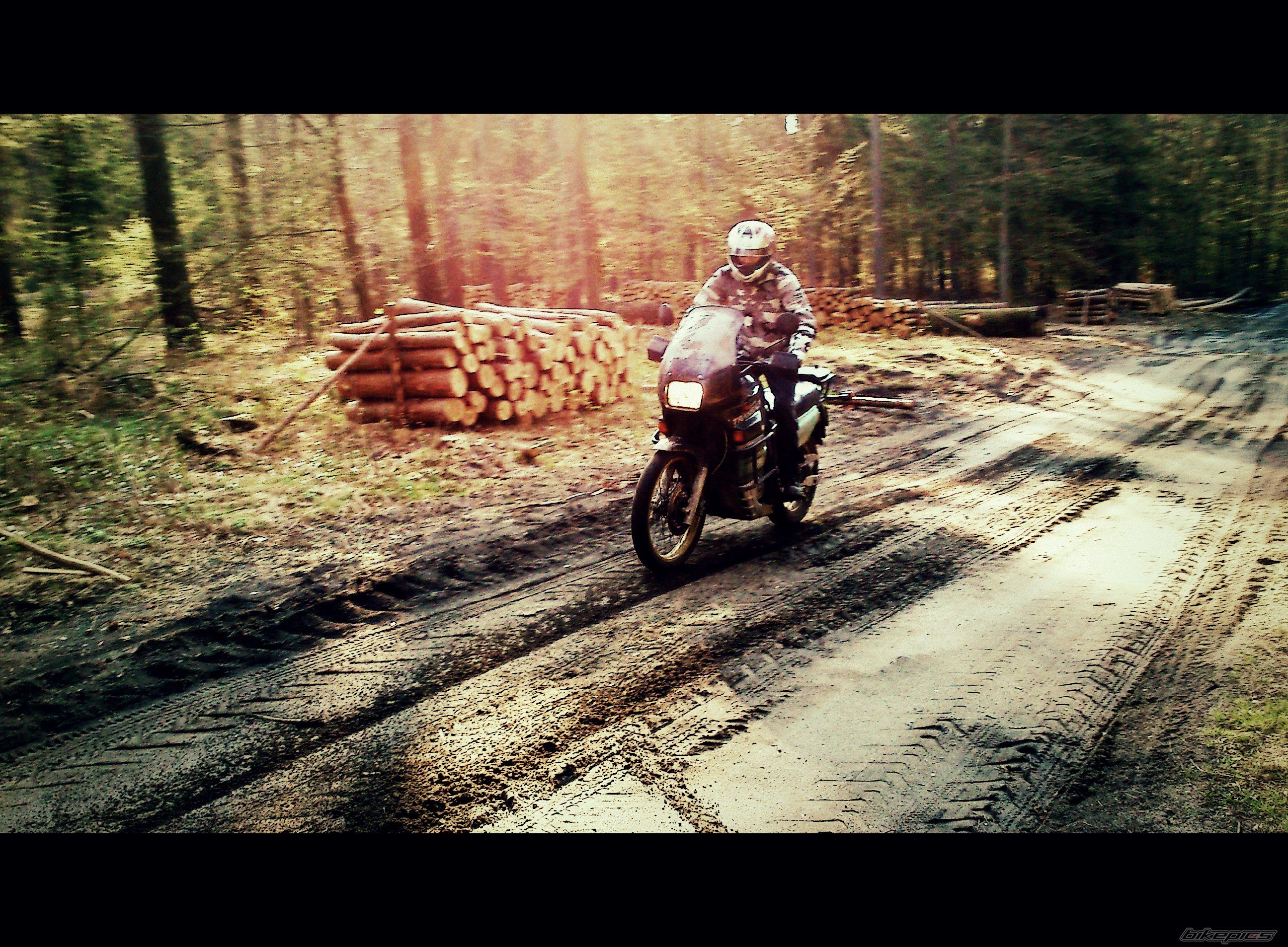 1994 HONDA XL 600V TRANSALP | Picture 2389185 motorcycle photo