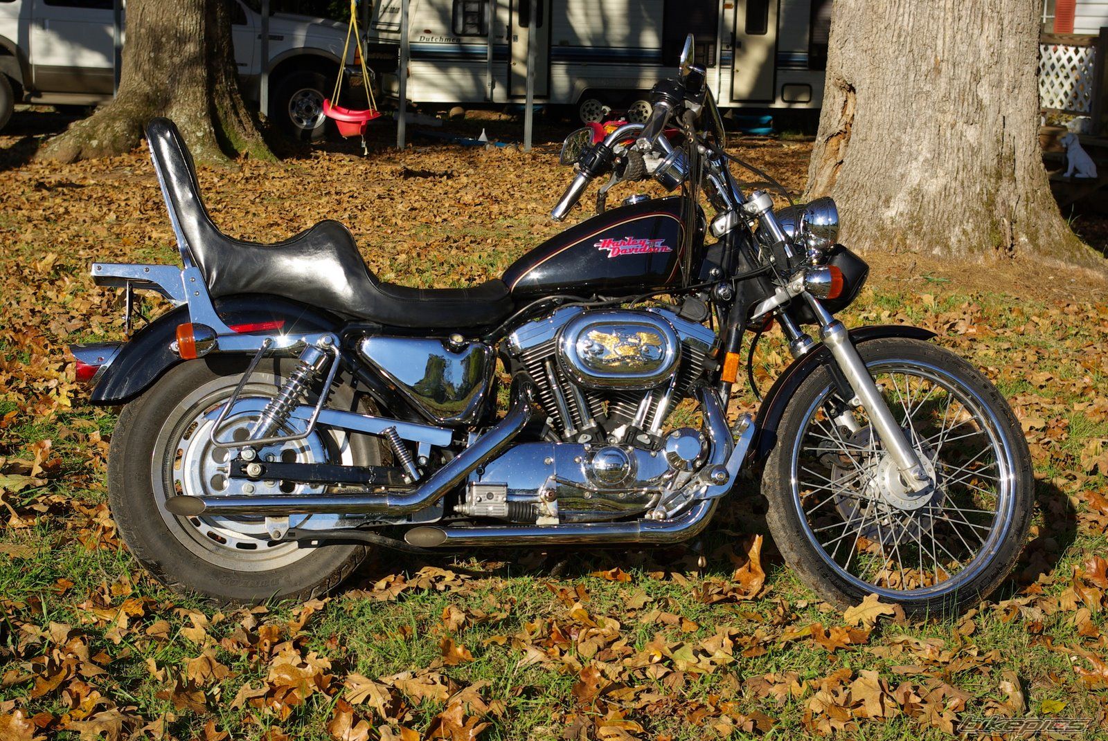 1996 HARLEY DAVIDSON XL 1200 C | Picture 2389195 motorcycle photo