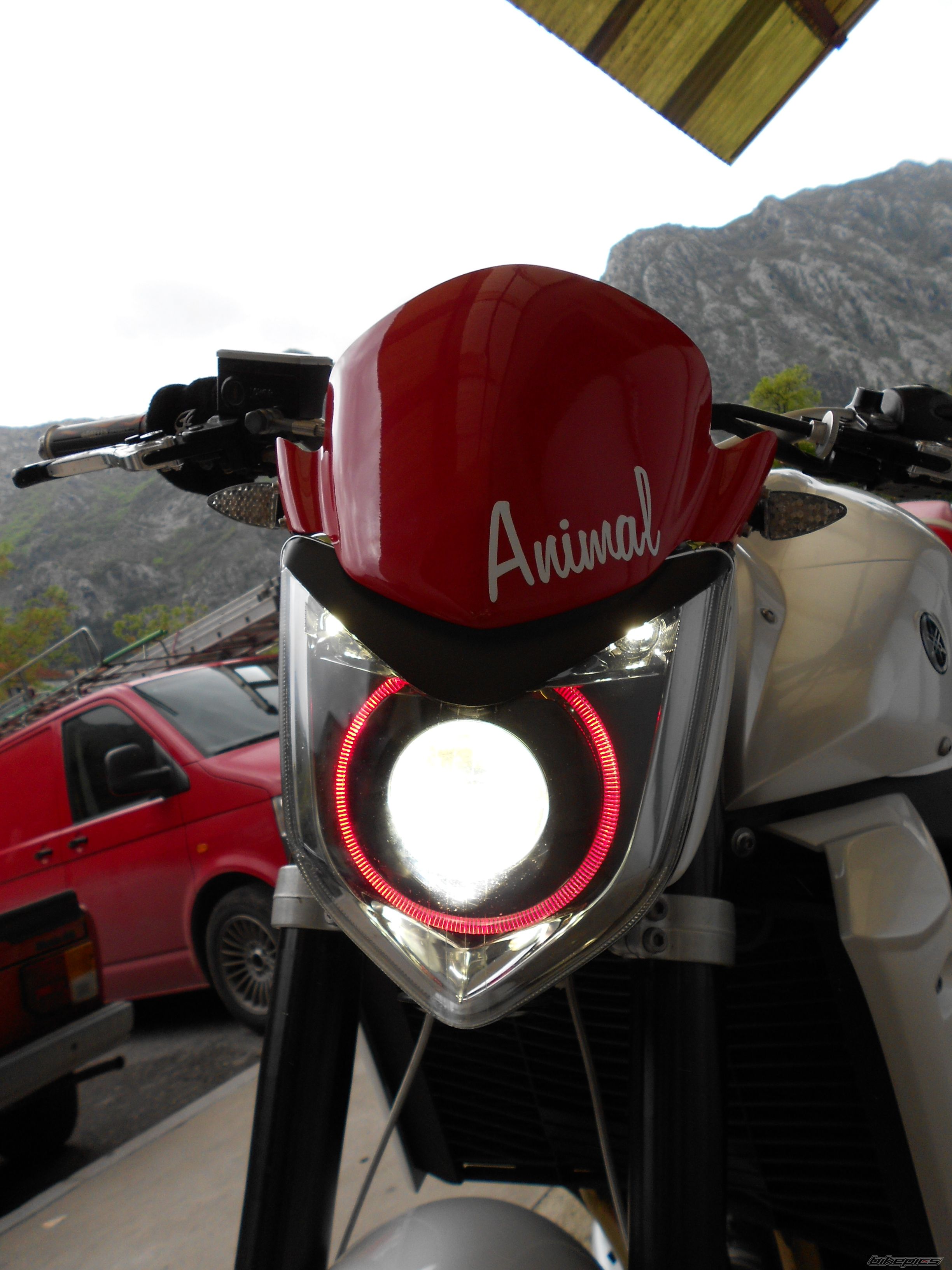 2007 YAMAHA FZ 1N | Picture 2389325 motorcycle photo