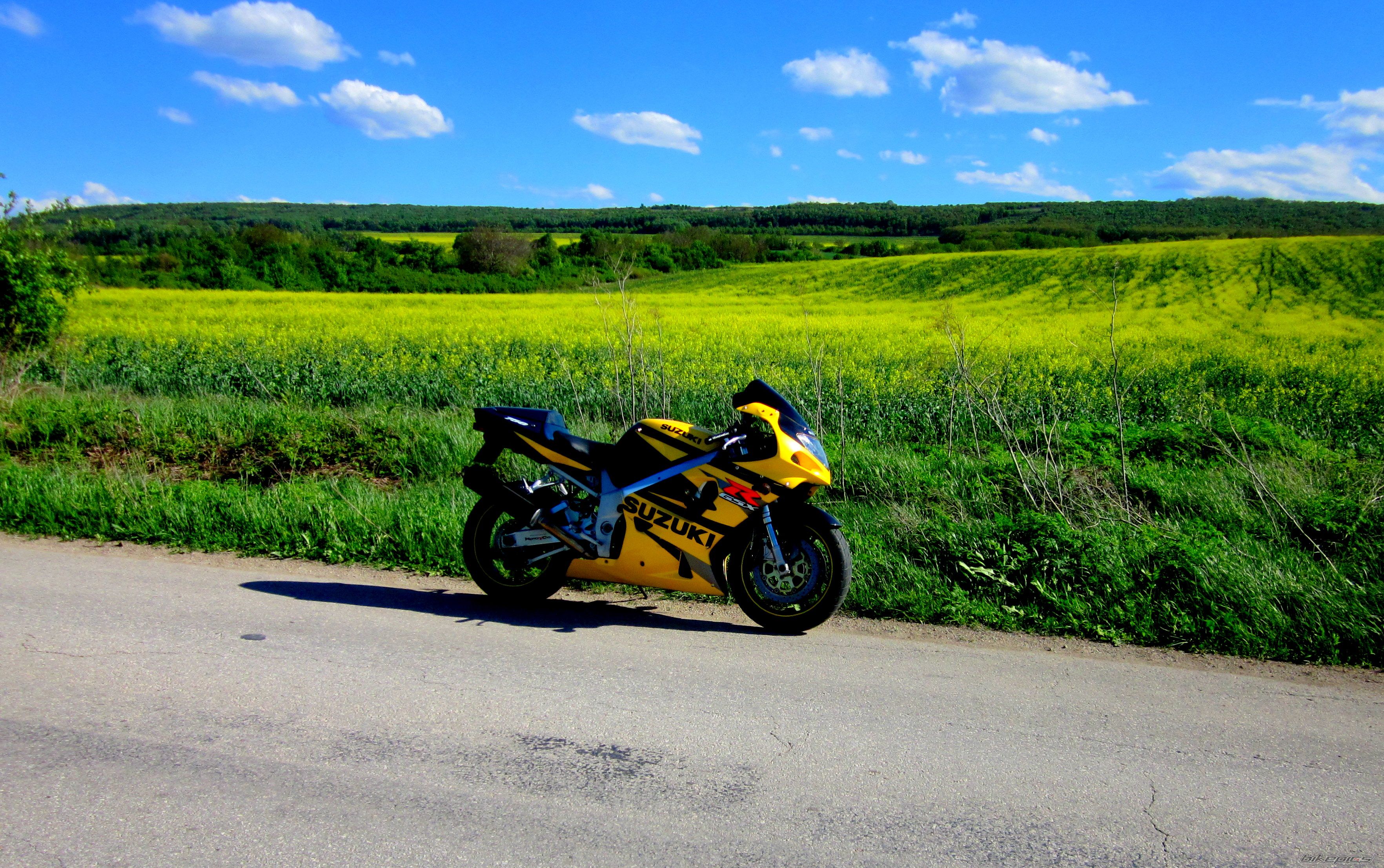 2002 SUZUKI GSX R 750 | Picture 2389811 motorcycle photo