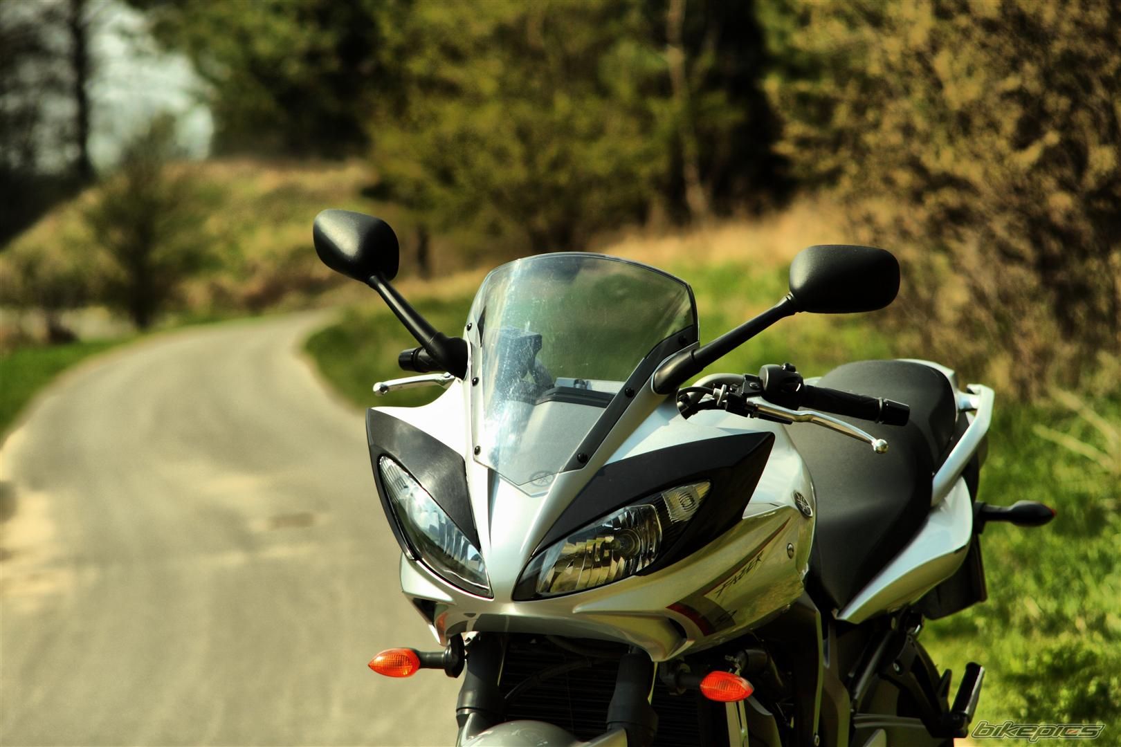 2009 YAMAHA FZ6 FAZER | Picture 2390277 motorcycle photo