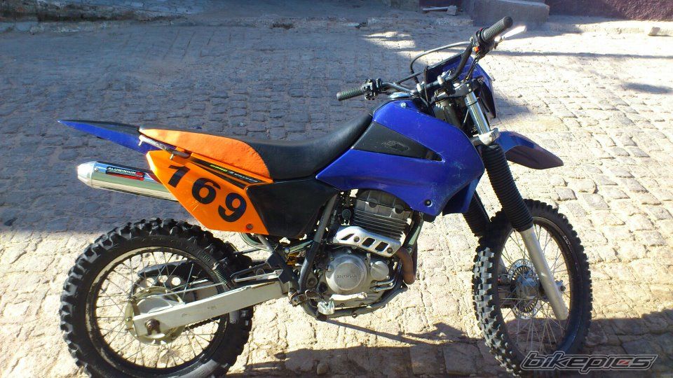 2002 HONDA XR 250 | Picture 2390357 motorcycle photo