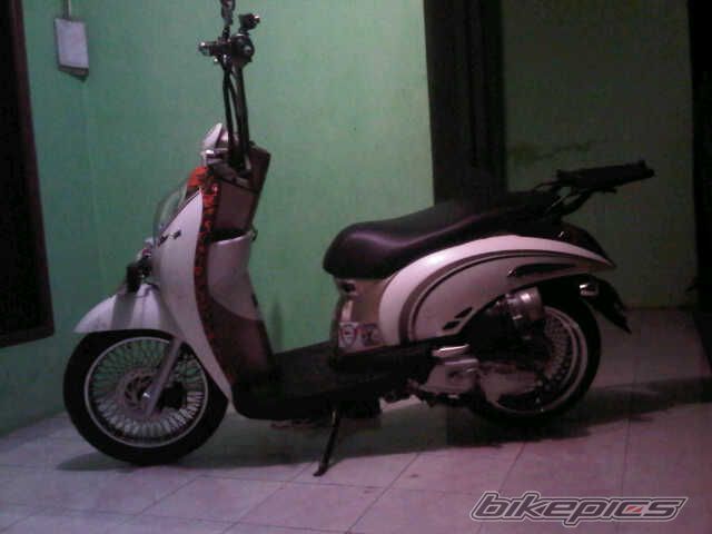 2011 HONDA SCOOPY I | Picture 2391096 motorcycle photo