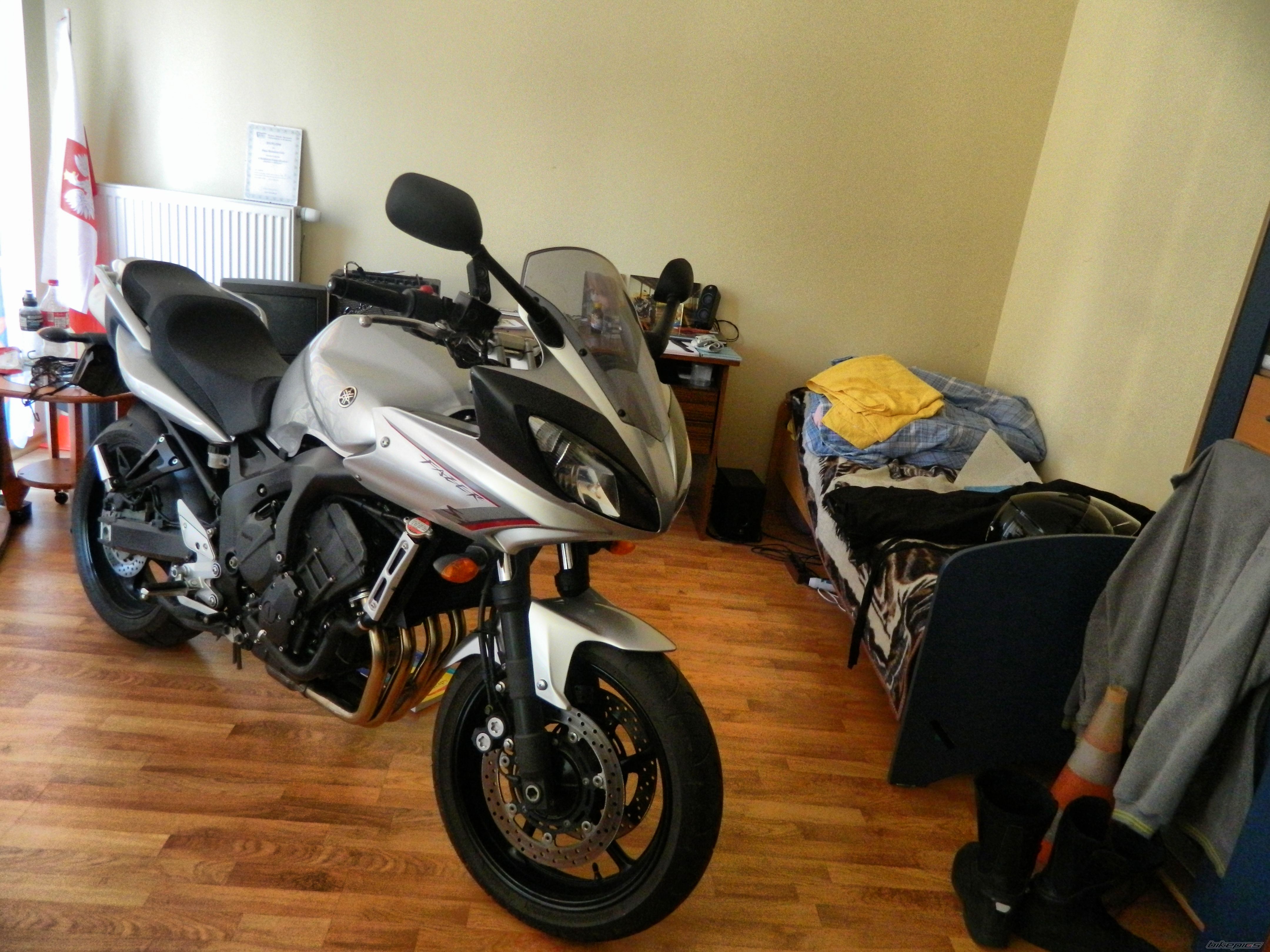 2009 YAMAHA FZ6 FAZER | Picture 2392390 motorcycle photo