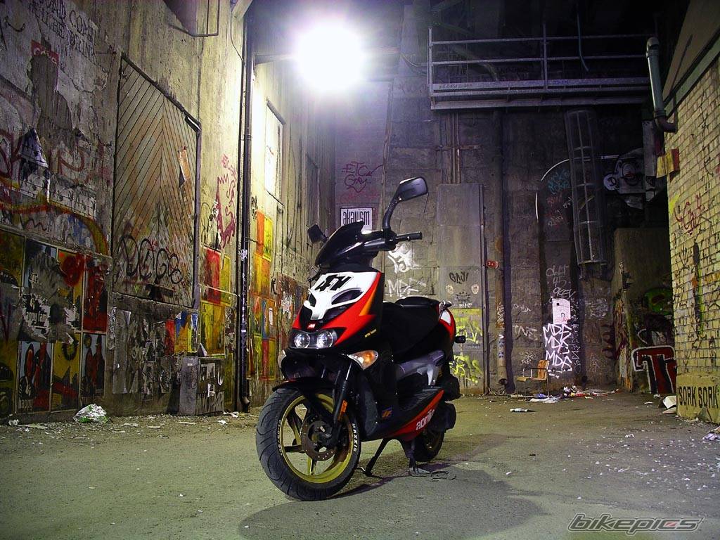 2003 APRILIA SR 50 | Picture 239304 motorcycle photo