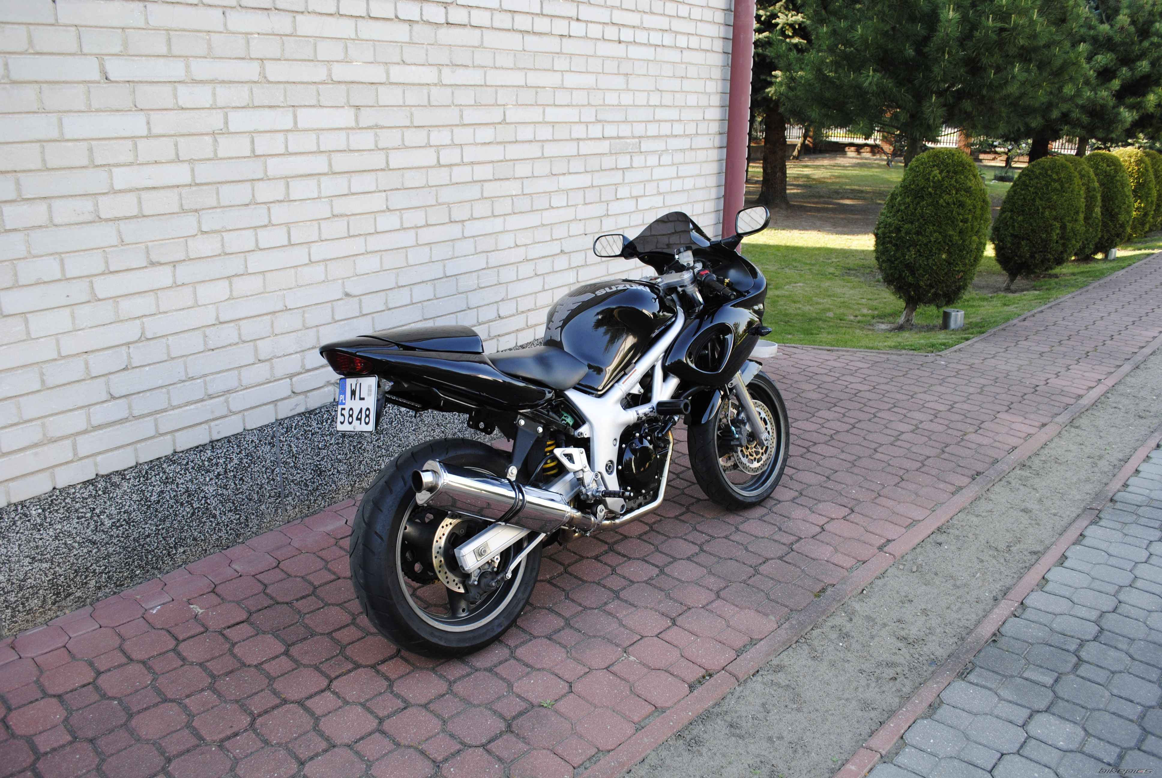 2000 SUZUKI SV 650S | Picture 2393420 motorcycle photo