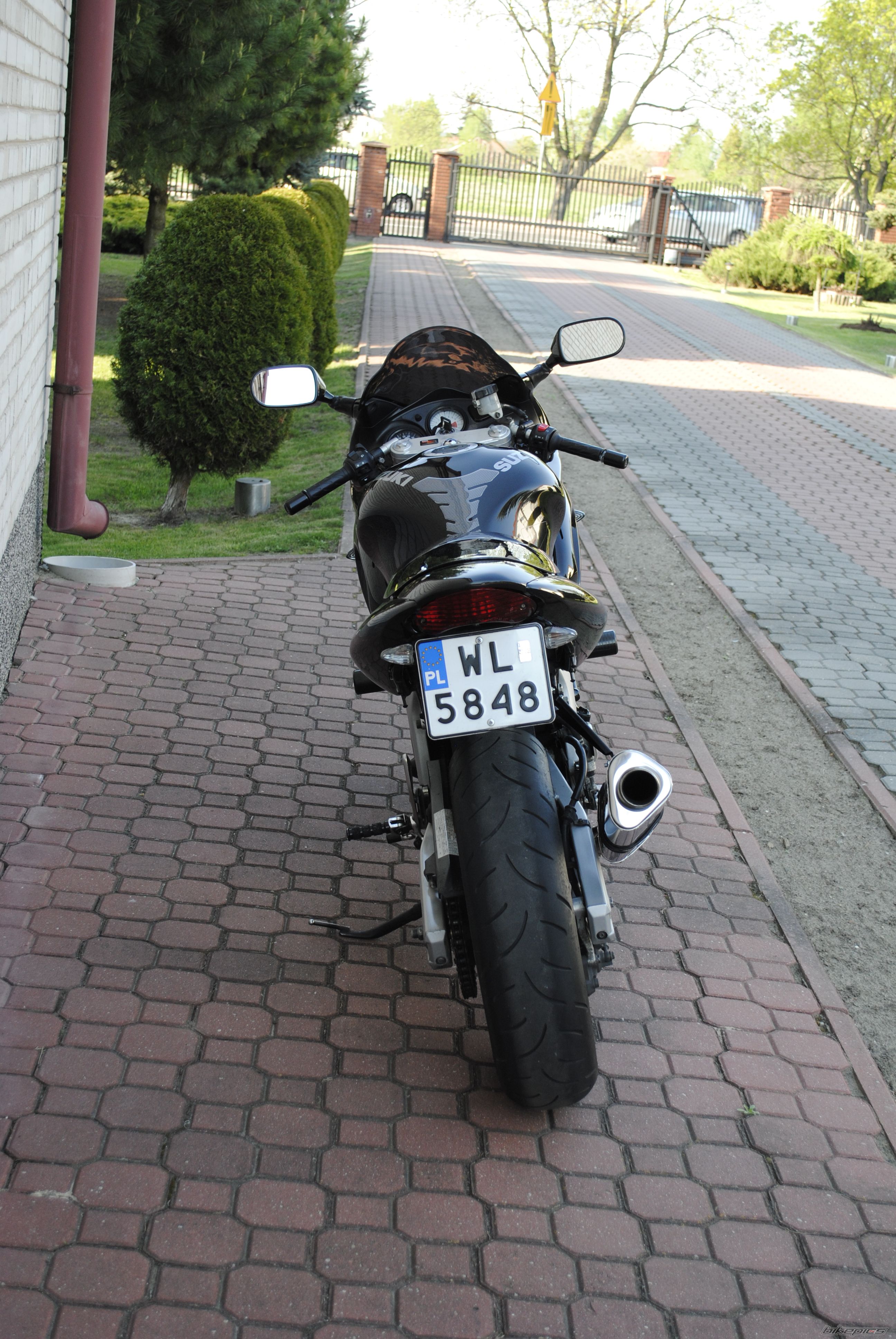 2000 SUZUKI SV 650S | Picture 2393421 motorcycle photo