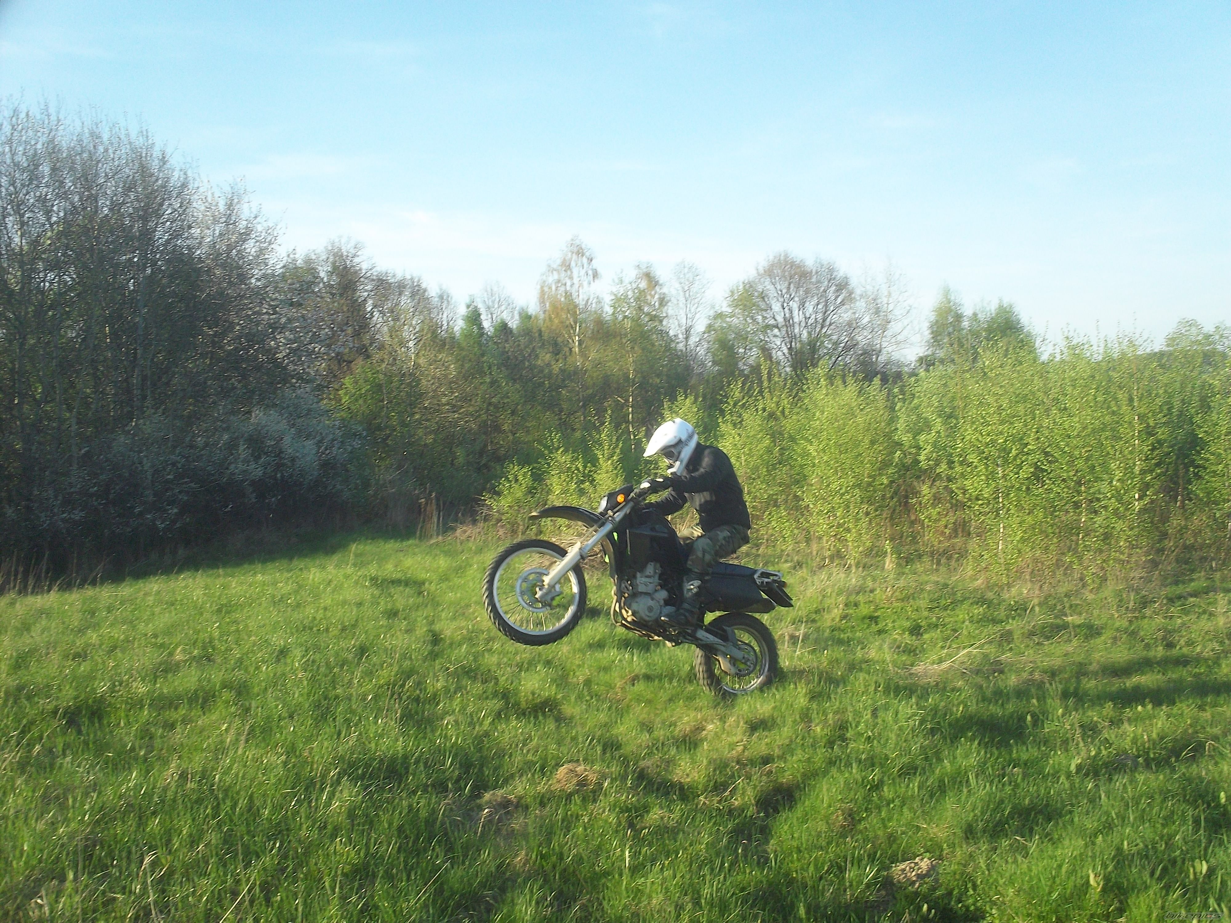 1993 KAWASAKI KLX 650 | Picture 2393425 motorcycle photo