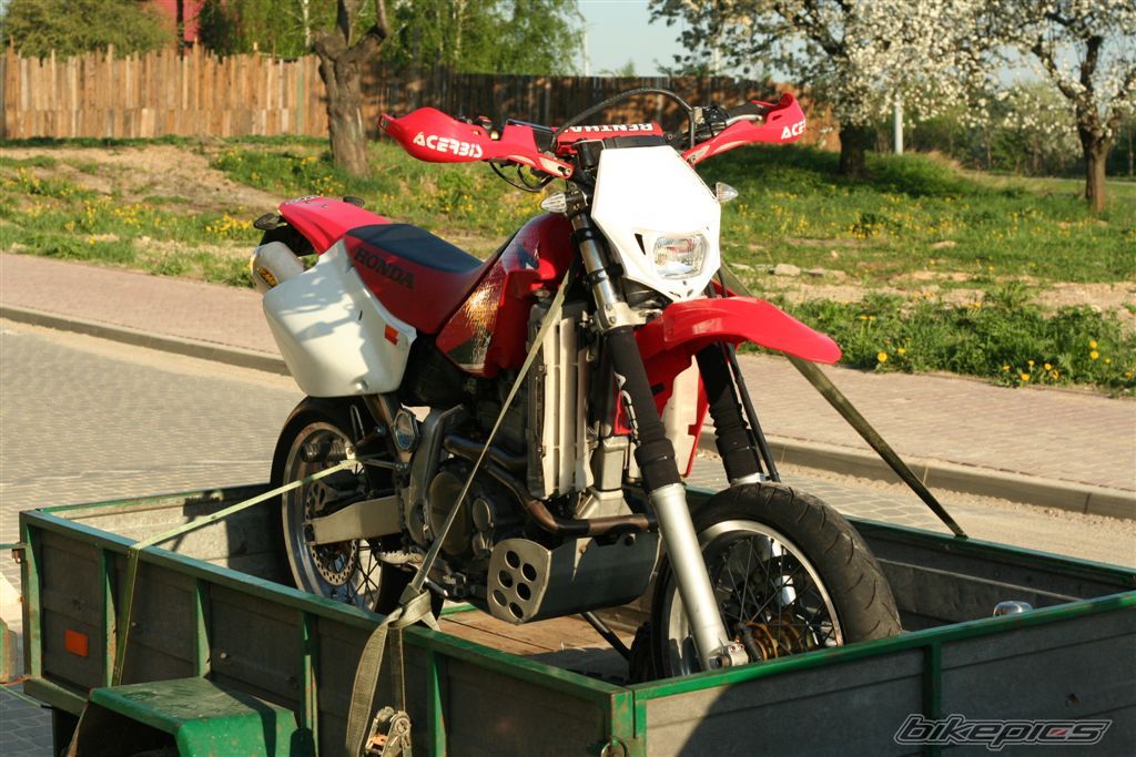 2000 HONDA XR 650 | Picture 2394035 motorcycle photo
