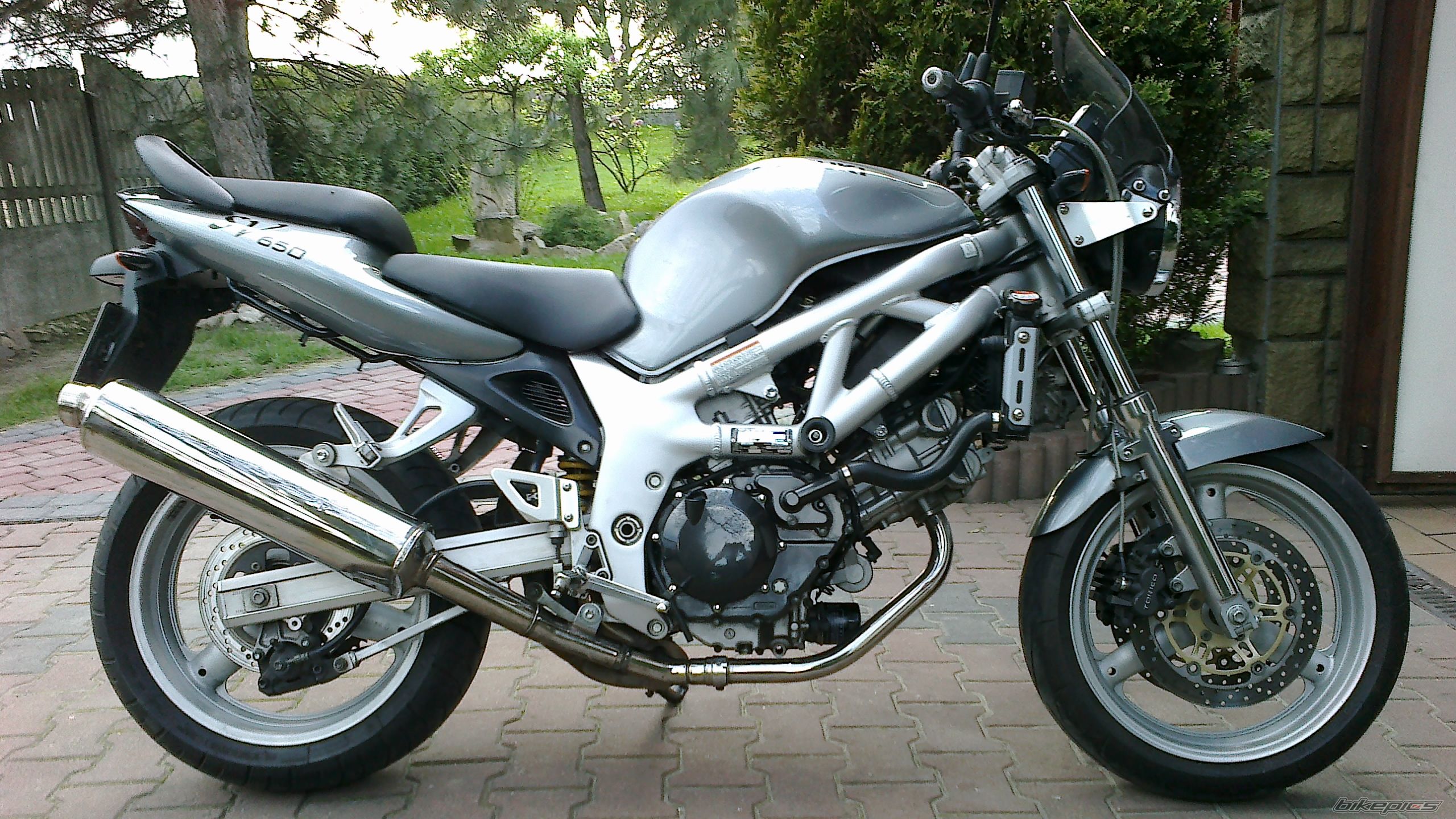 2002 SUZUKI SV 650 | Picture 2394037 motorcycle photo