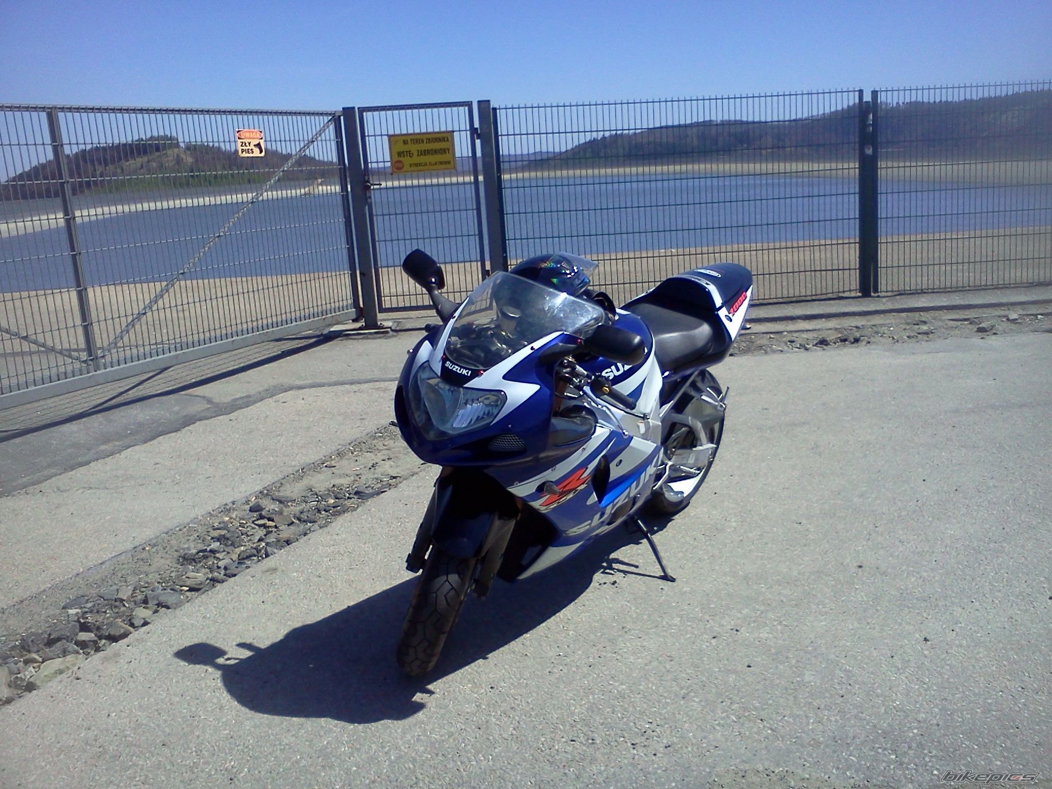 2001 SUZUKI GSX R 1000 | Picture 2394739 motorcycle photo